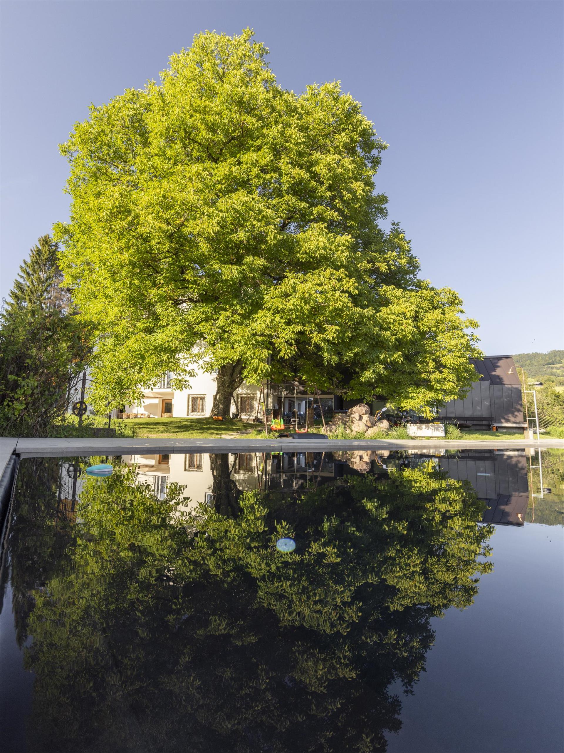 Michlhaus nature and suites Aldein/Aldino 1 suedtirol.info