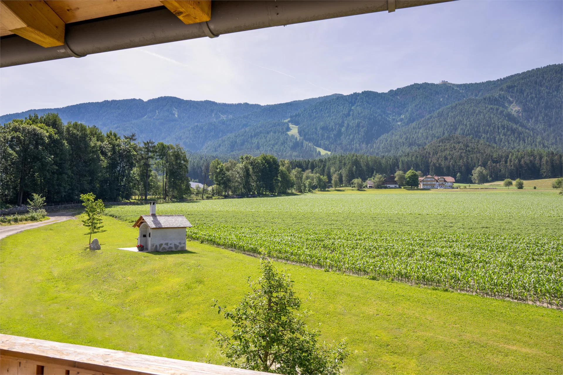 Mair am Bach Bruneck/Brunico 10 suedtirol.info