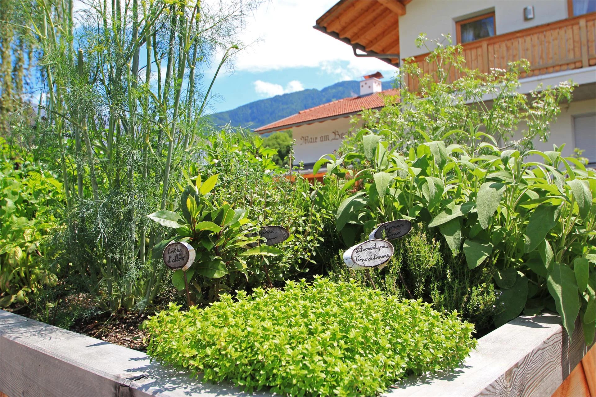 Mair am Bach Bruneck/Brunico 12 suedtirol.info