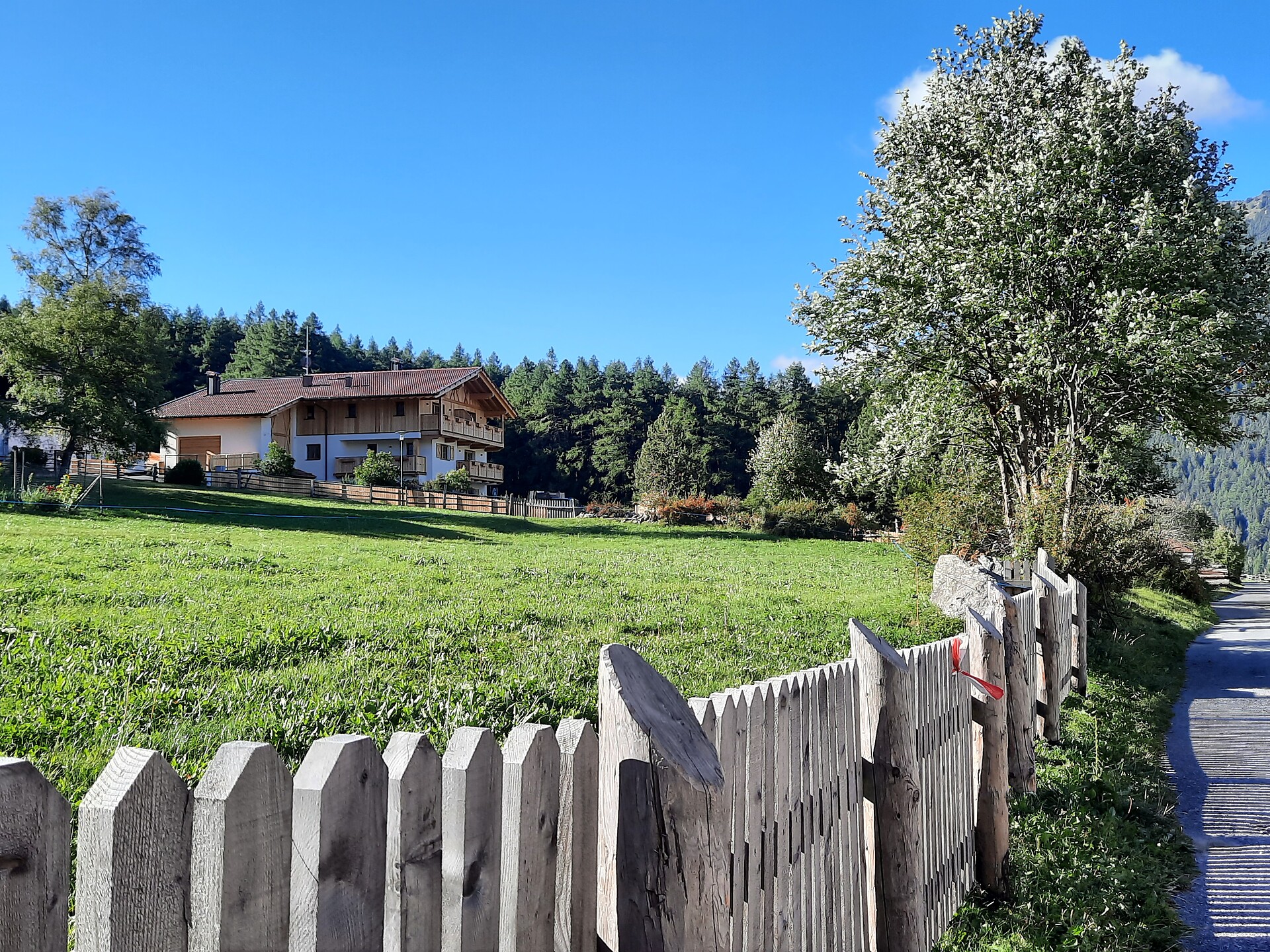 Sommer am Sonnenhof