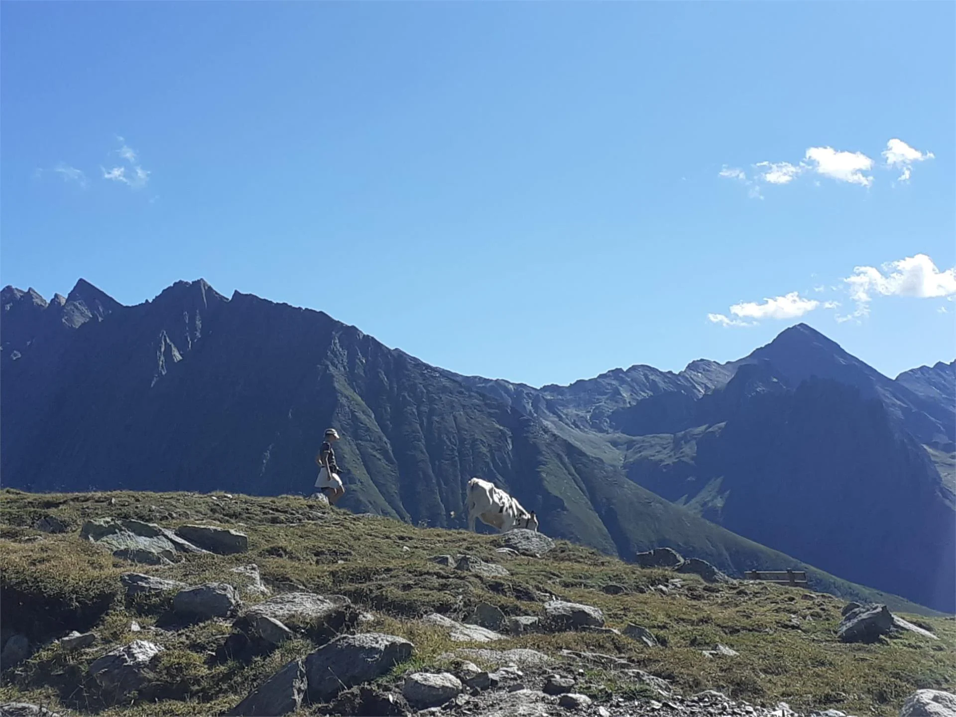 Matzilerhof Val di Vizze 19 suedtirol.info