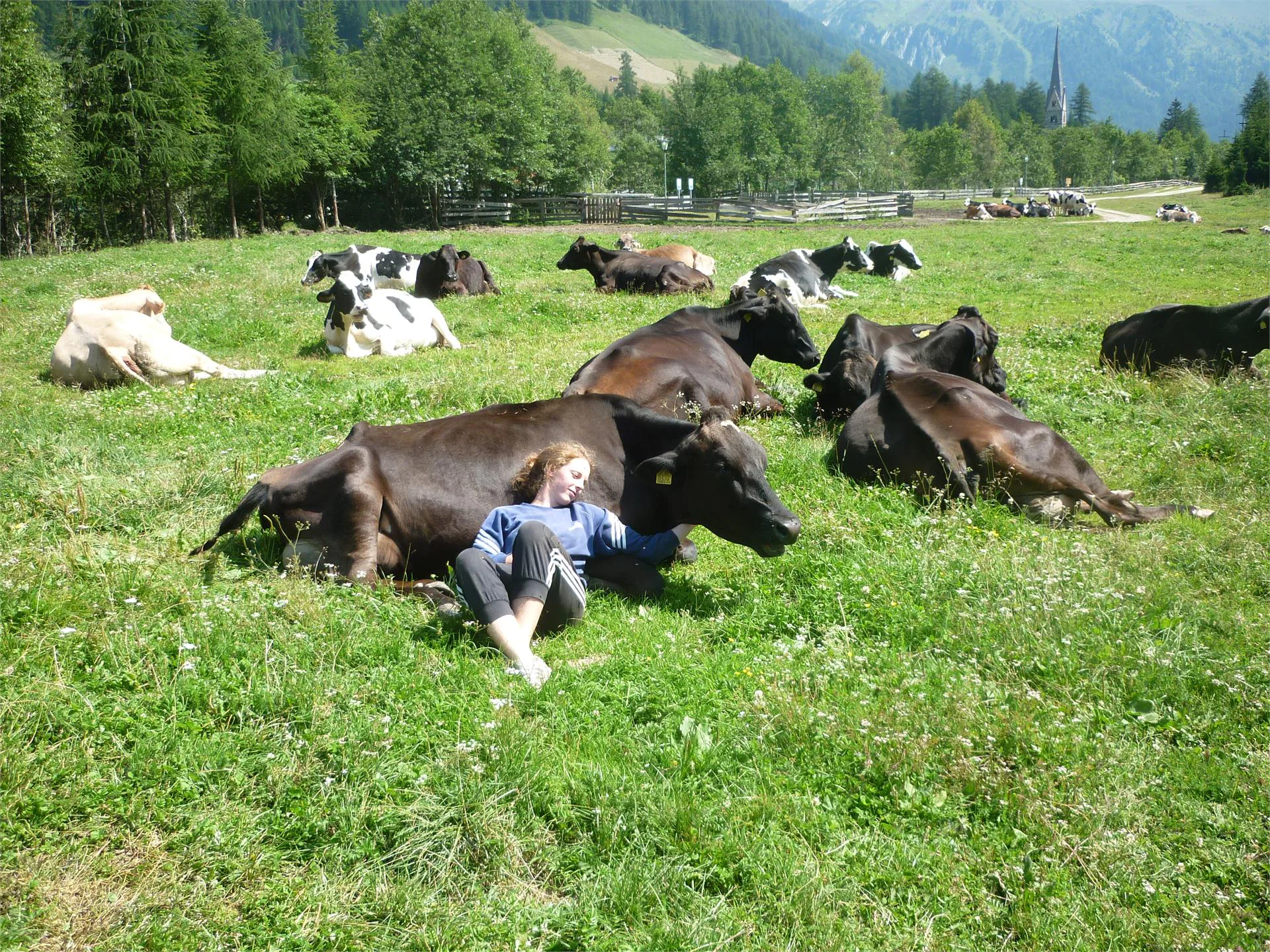 Matzilerhof Val di Vizze 15 suedtirol.info
