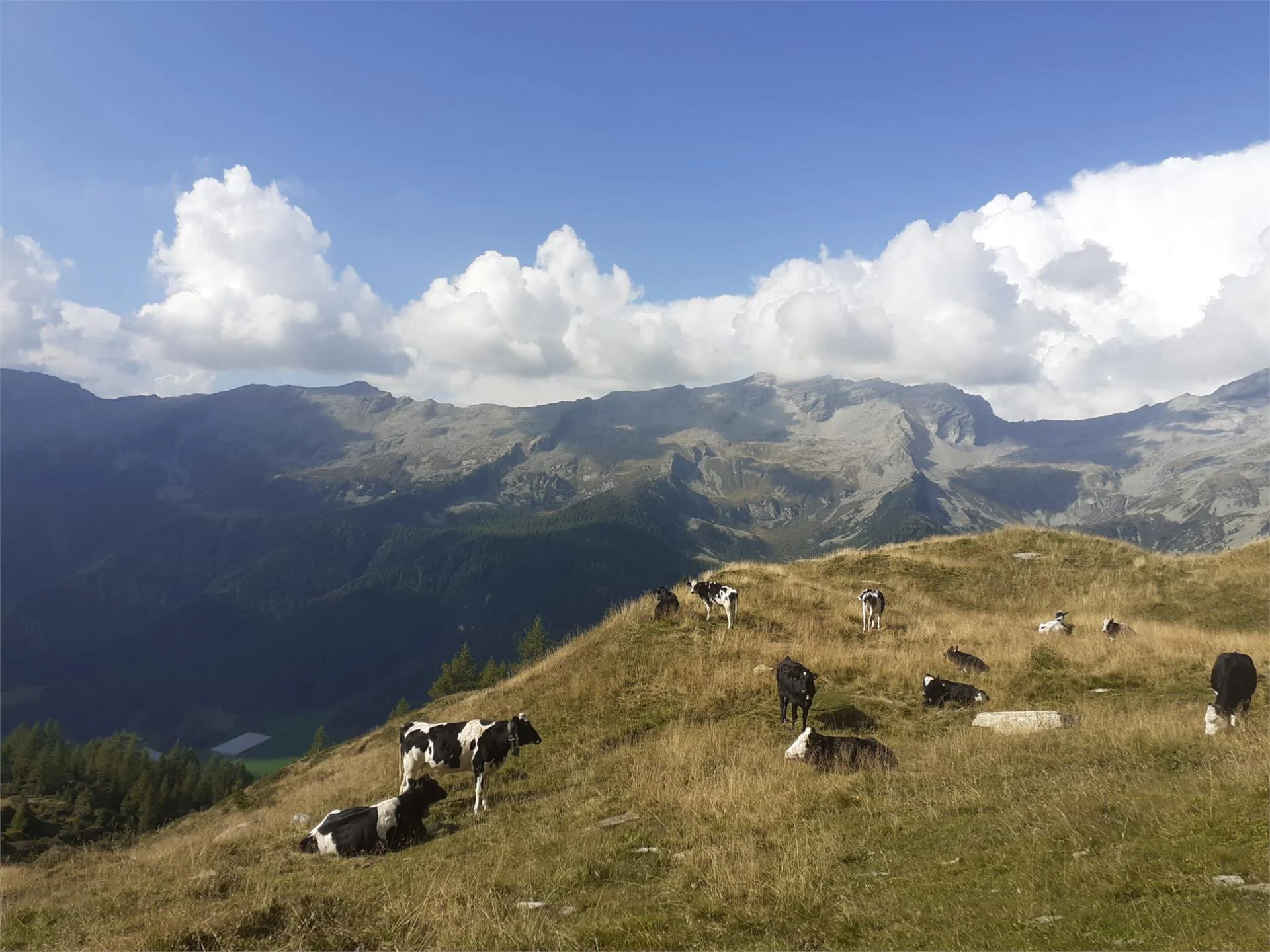 Matzilerhof Val di Vizze 18 suedtirol.info