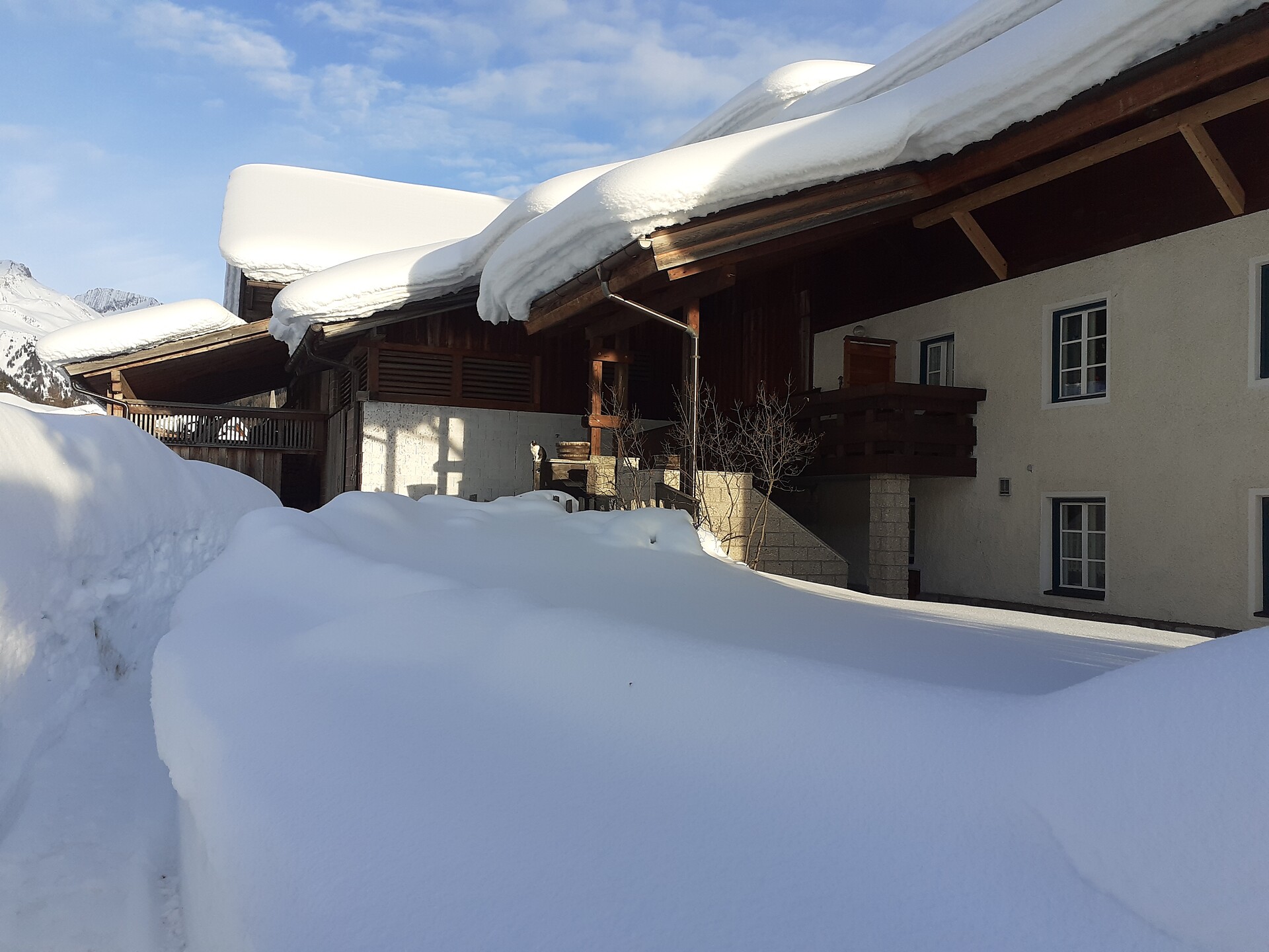 covered with snow in winter