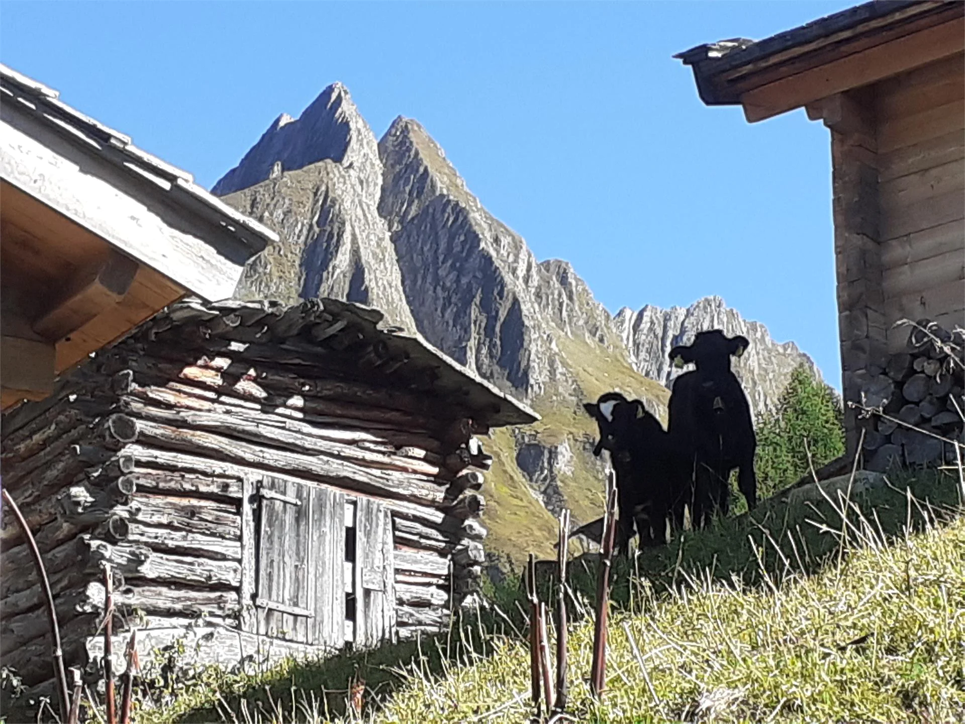 Matzilerhof Val di Vizze 17 suedtirol.info