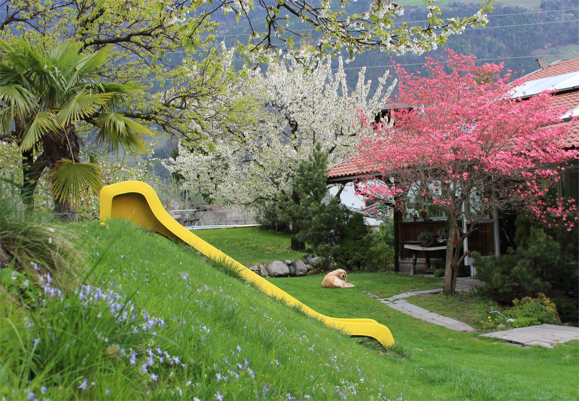 Moserhof Marlengo 5 suedtirol.info