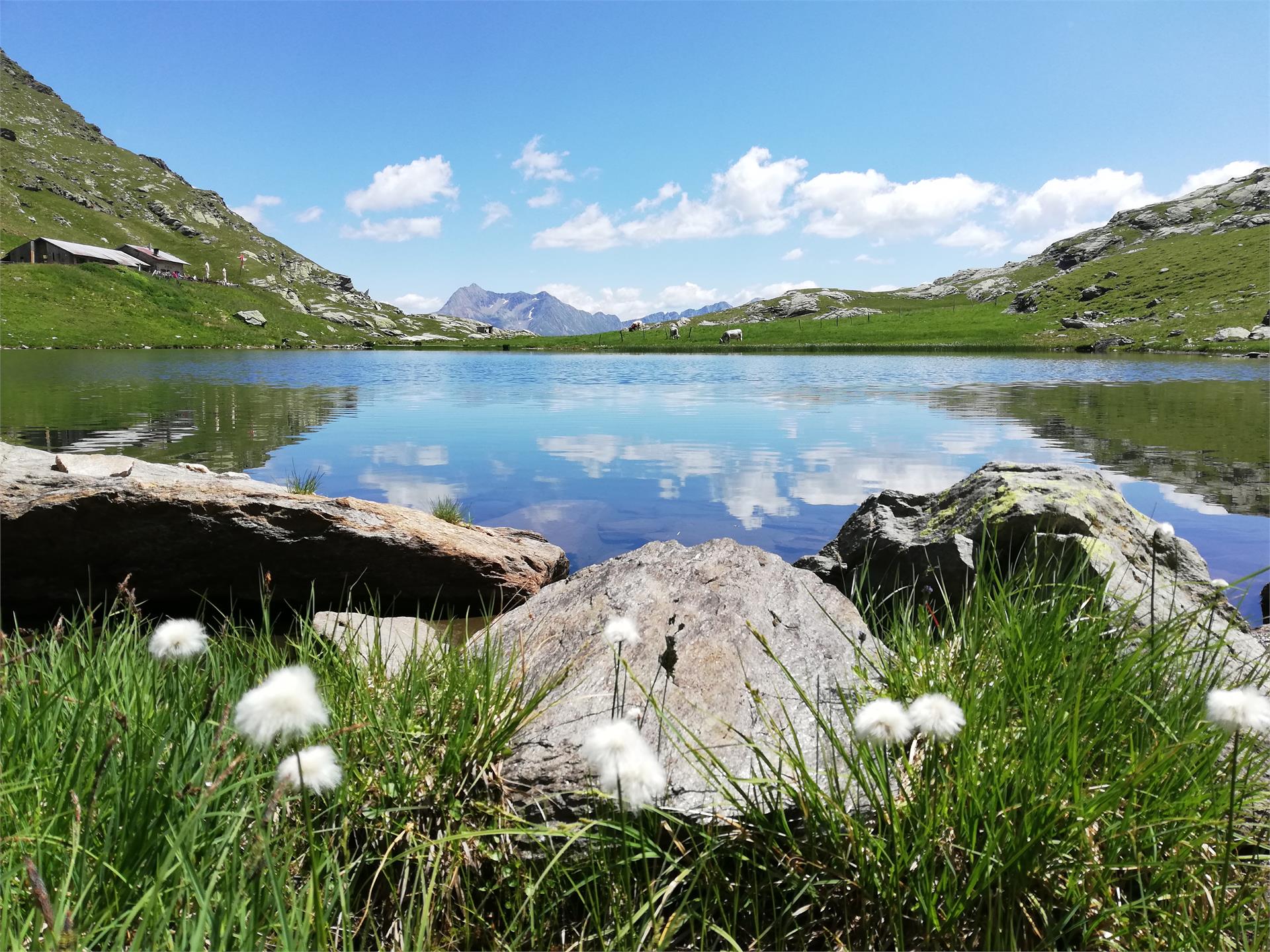 Moserhof Marlengo 16 suedtirol.info