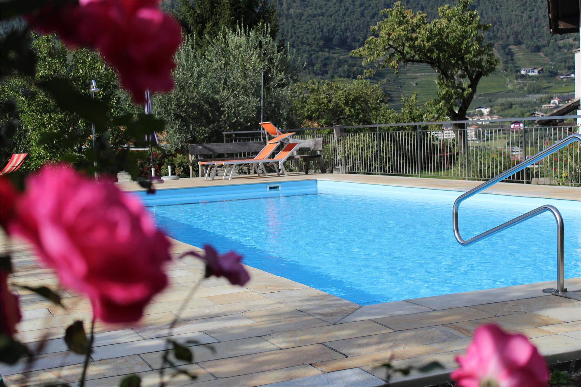 Moserhof Marlengo 13 suedtirol.info