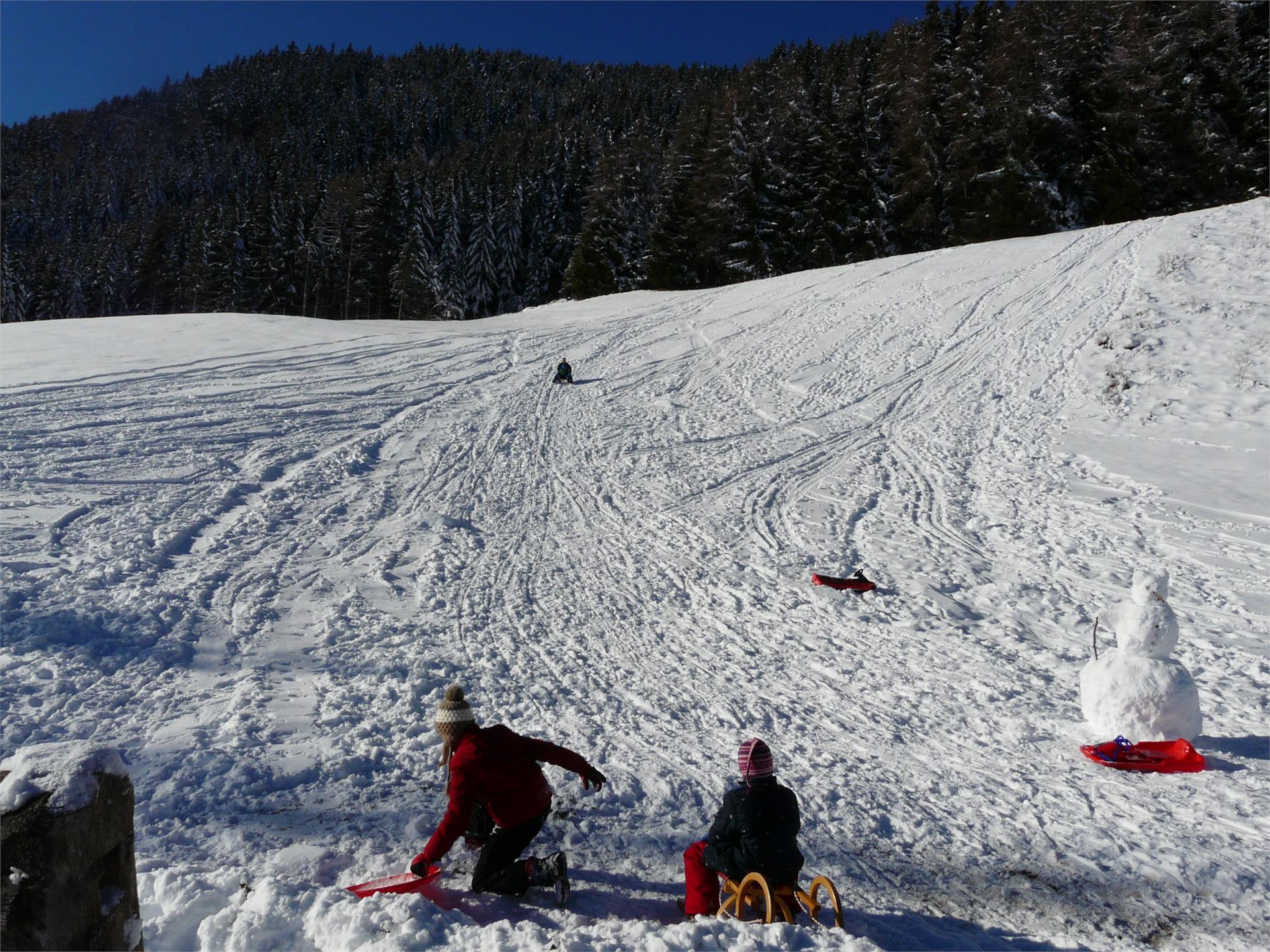 Masitterhof Brixen/Bressanone 8 suedtirol.info