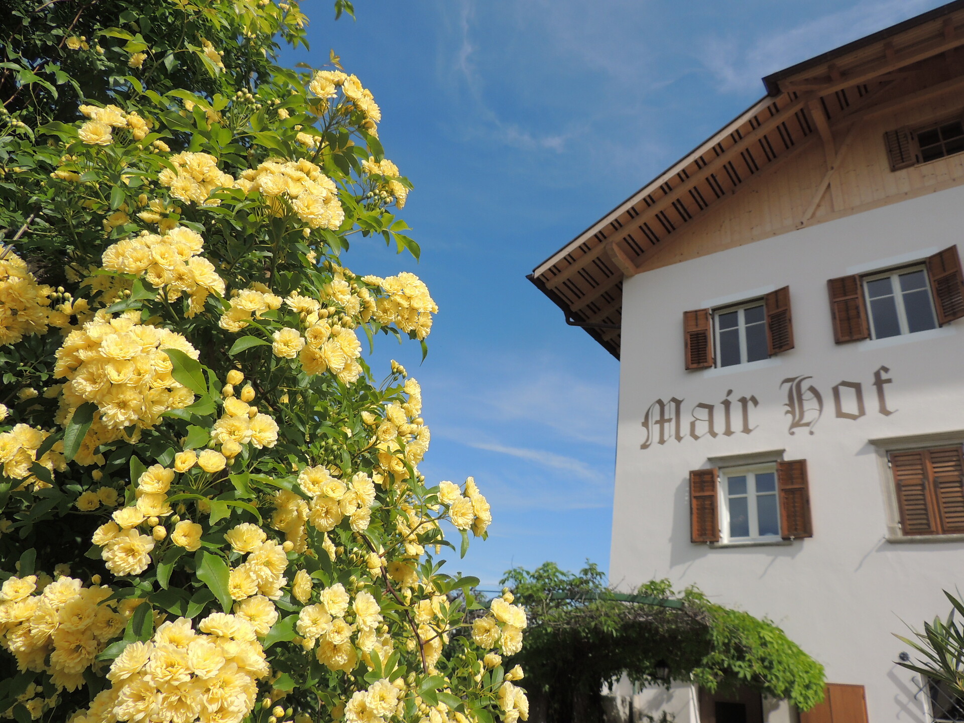 Mairhof a Missiano