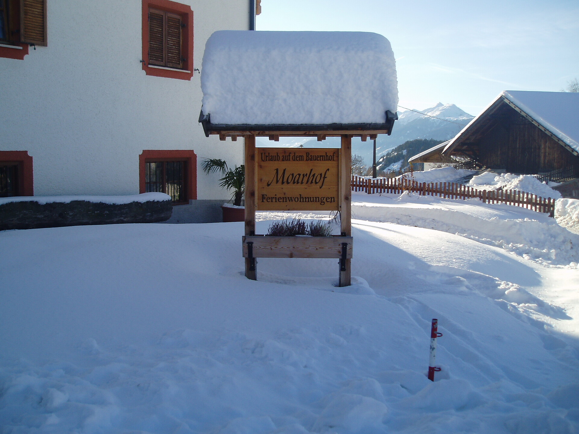 winter
