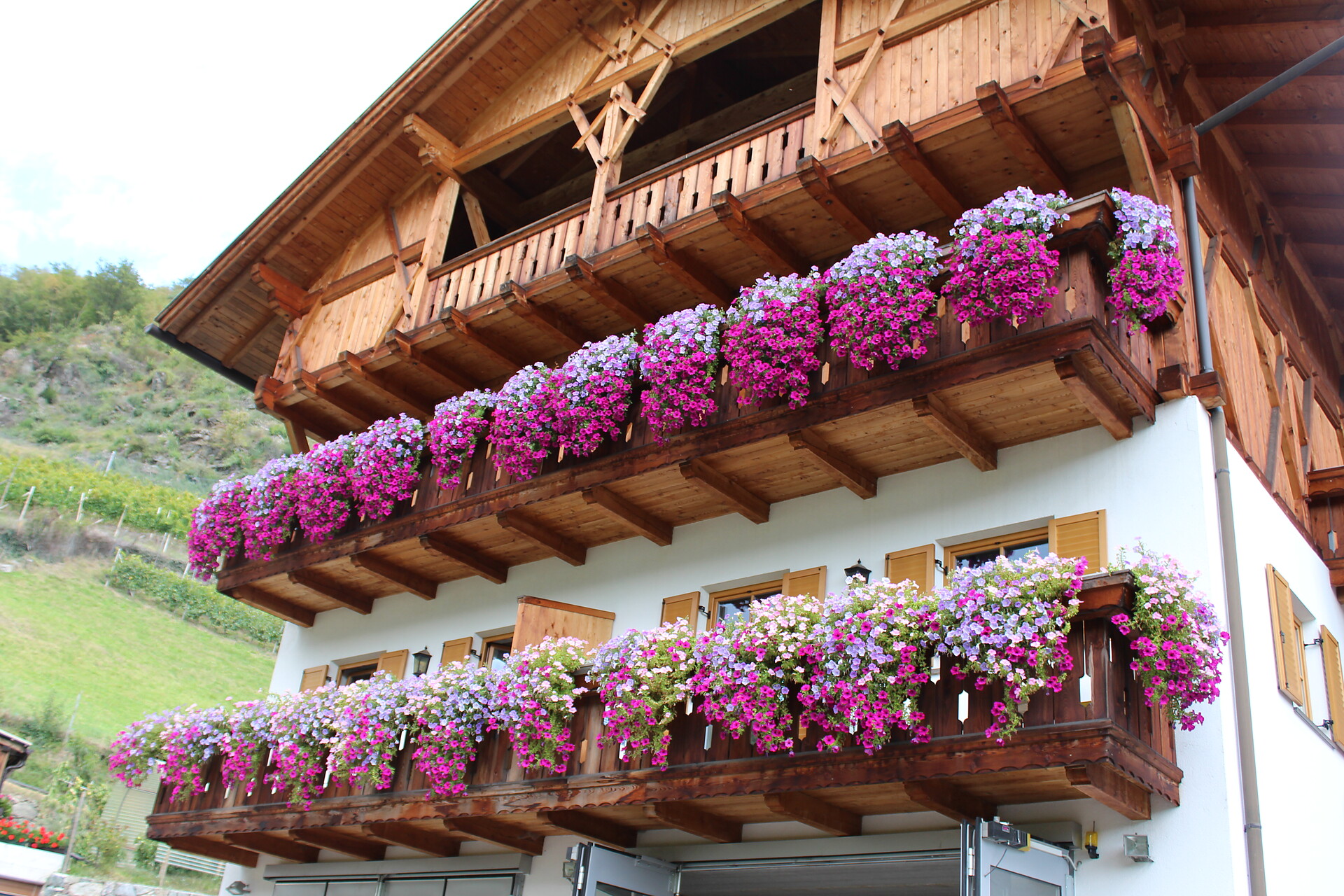Martscholerhof