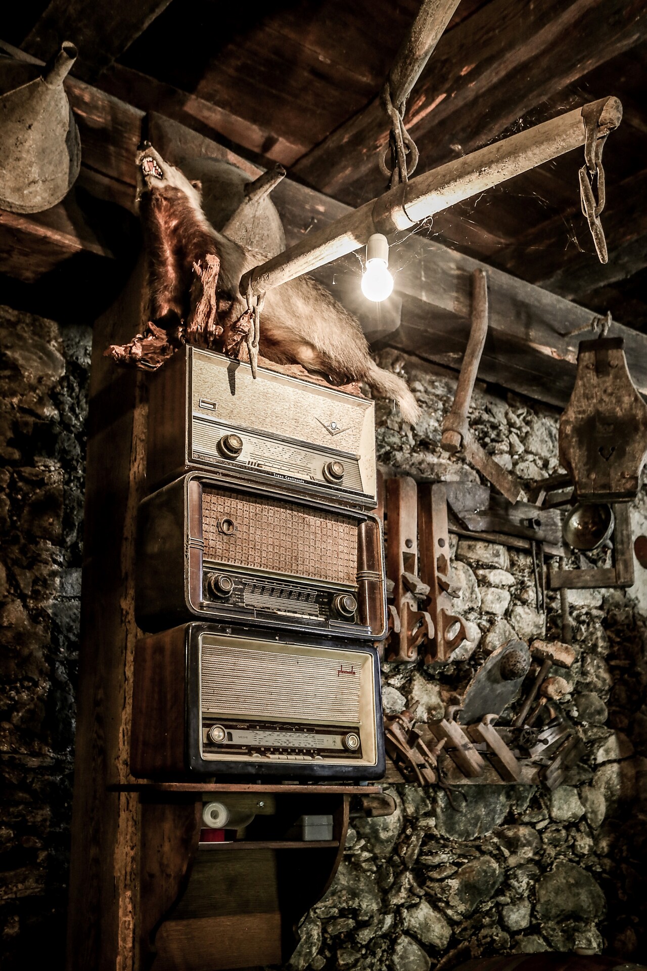 Cellar