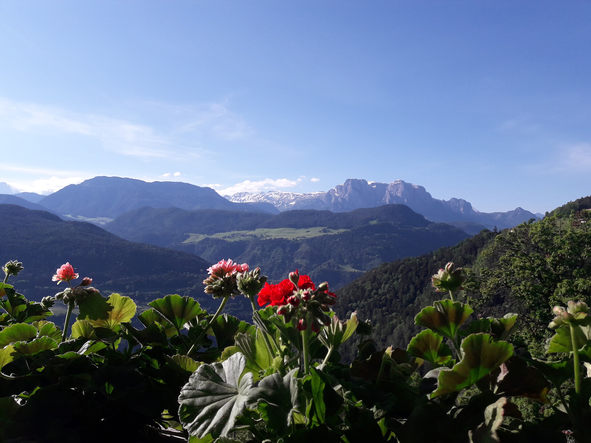 Vista dal balcone