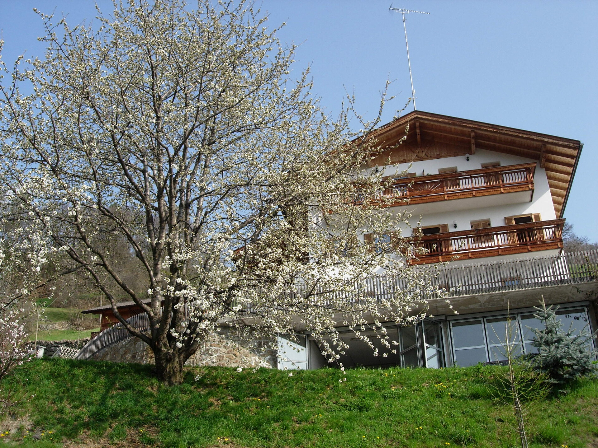 in primavera