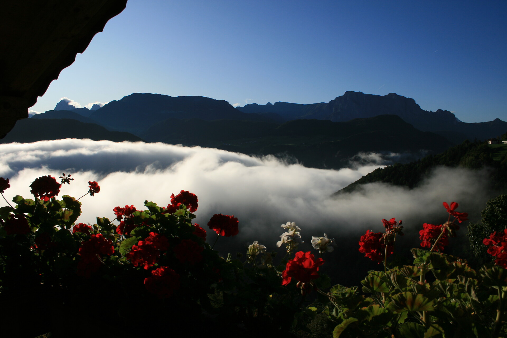 in autunno