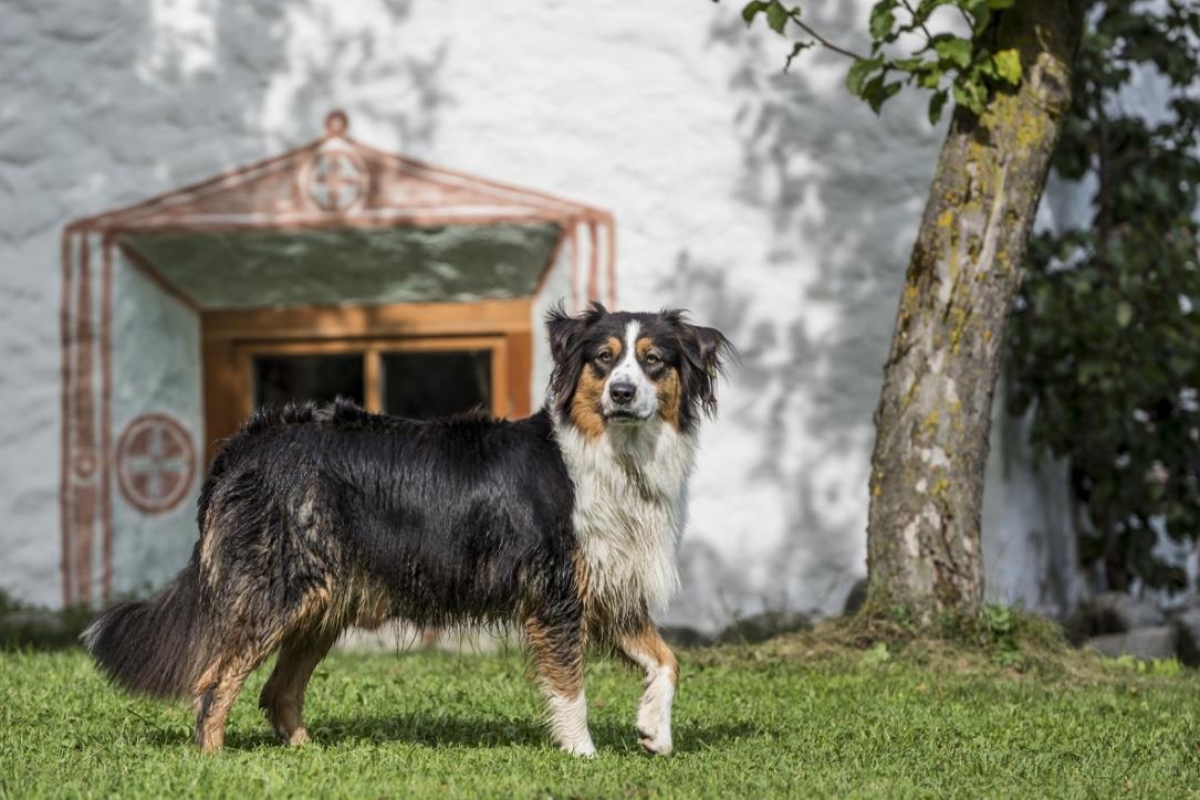 Maurlechn Ferienhaus Valle Aurina 10 suedtirol.info