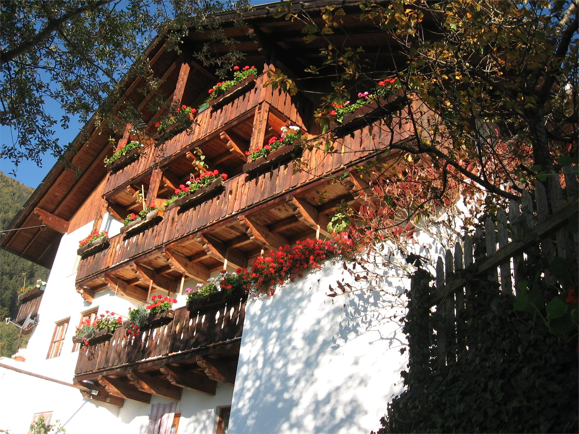Moarhof Caredo Bressanone 7 suedtirol.info