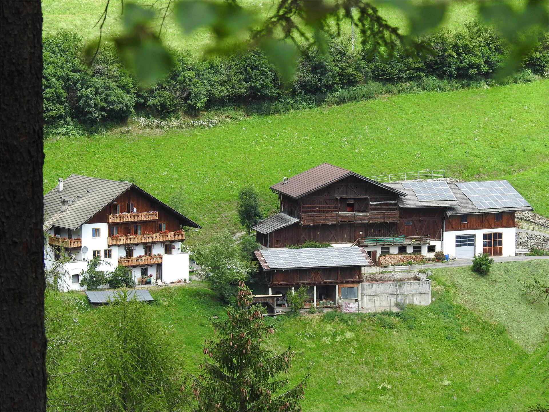 Moarhof Caredo Bressanone 2 suedtirol.info