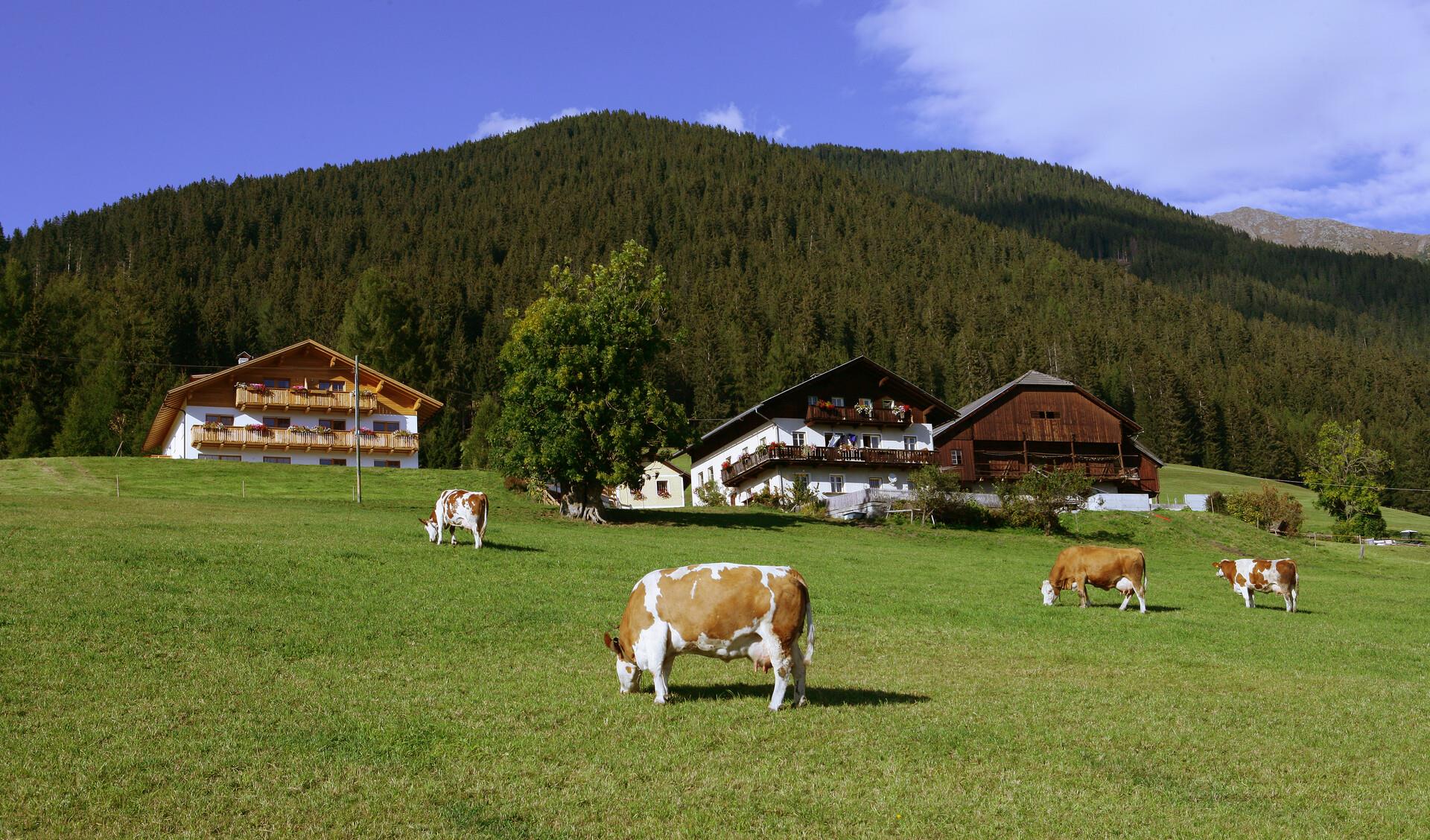 Mahrhof Welsberg-Taisten 1 suedtirol.info