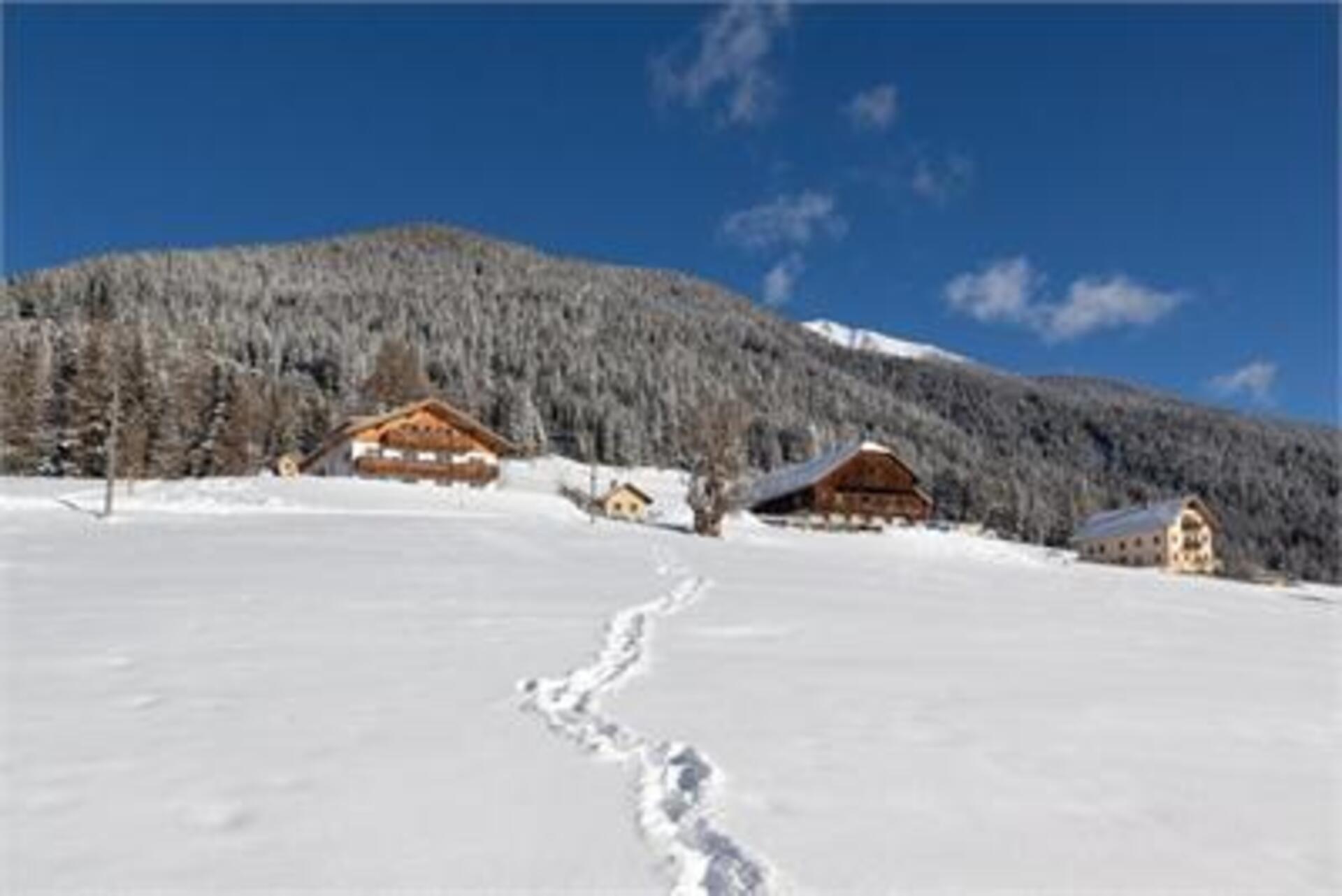 Mahrhof Welsberg-Taisten 10 suedtirol.info