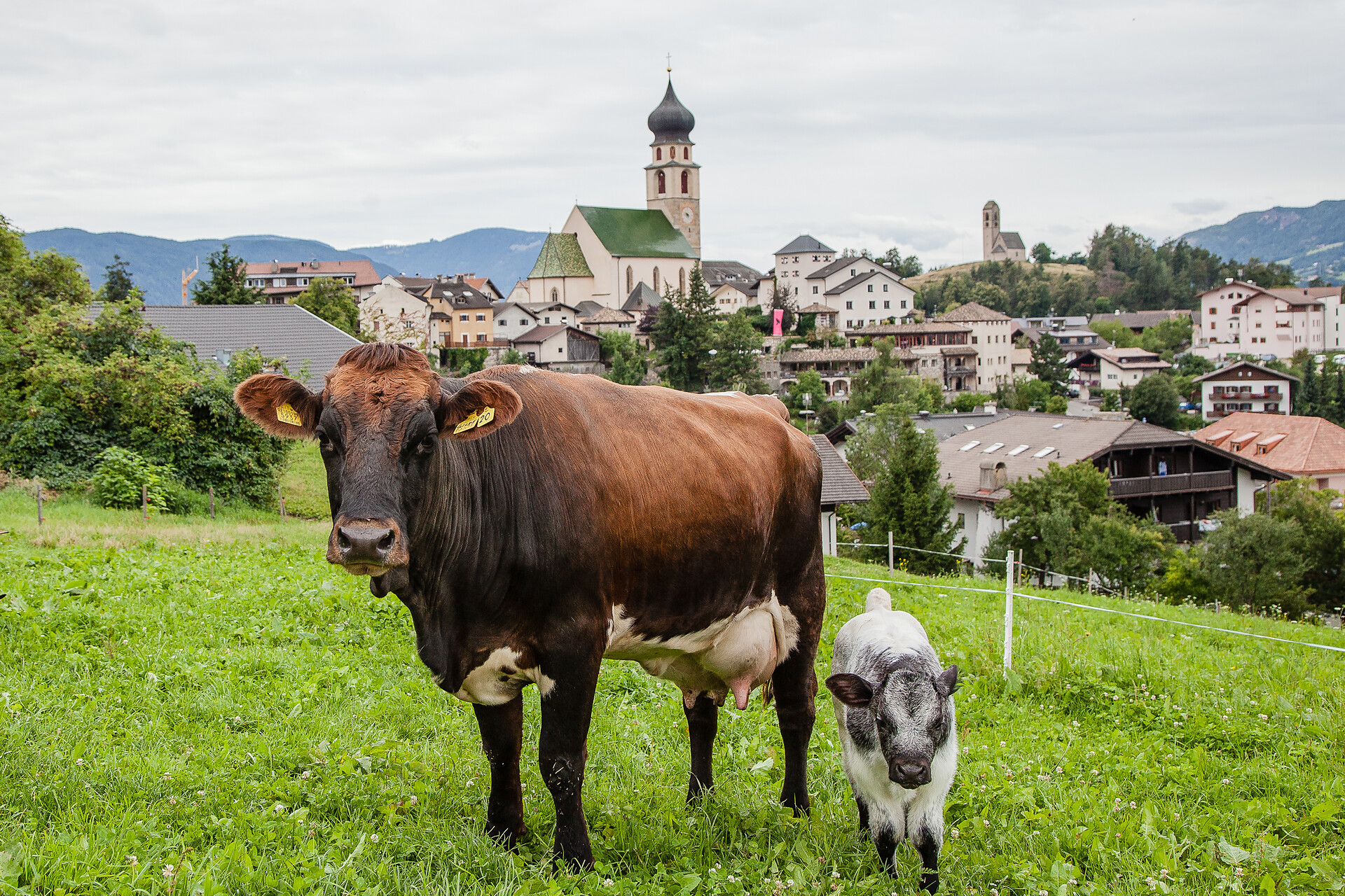 Merlhof-Privatzimmer - Dolomites Region Seiser Alm - #28 - suedtirol.info