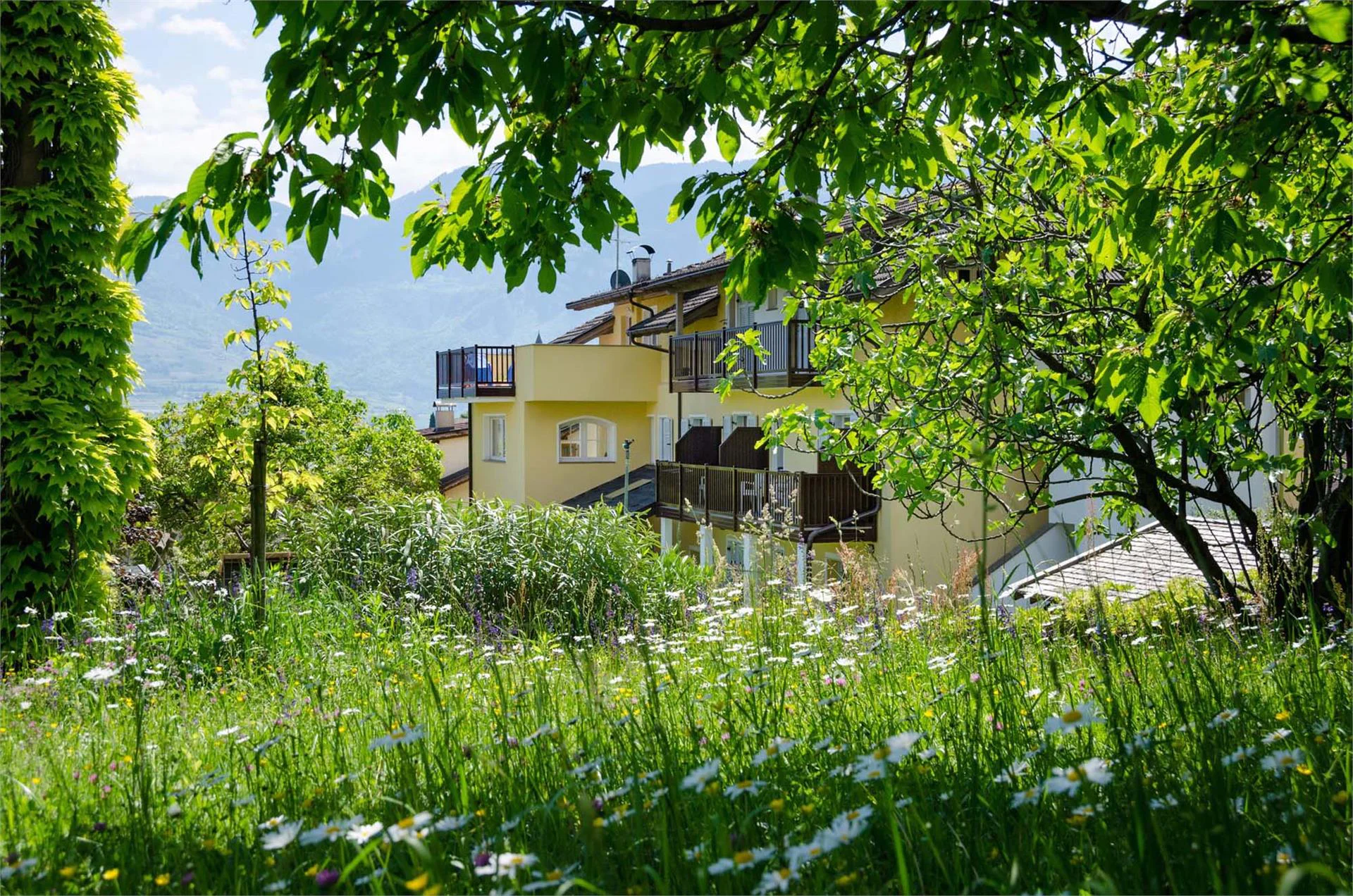 Mandlhof Tramin an der Weinstraße/Termeno sulla Strada del Vino 6 suedtirol.info