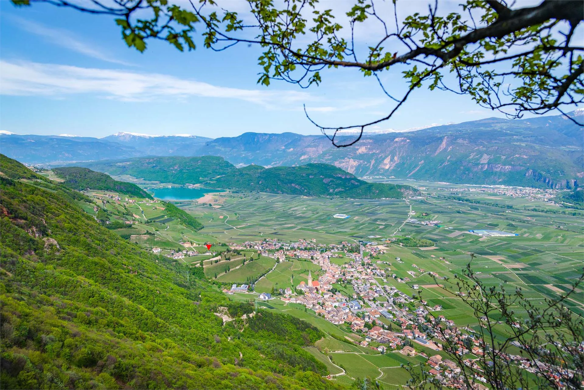 Mandlhof Tramin an der Weinstraße/Termeno sulla Strada del Vino 5 suedtirol.info