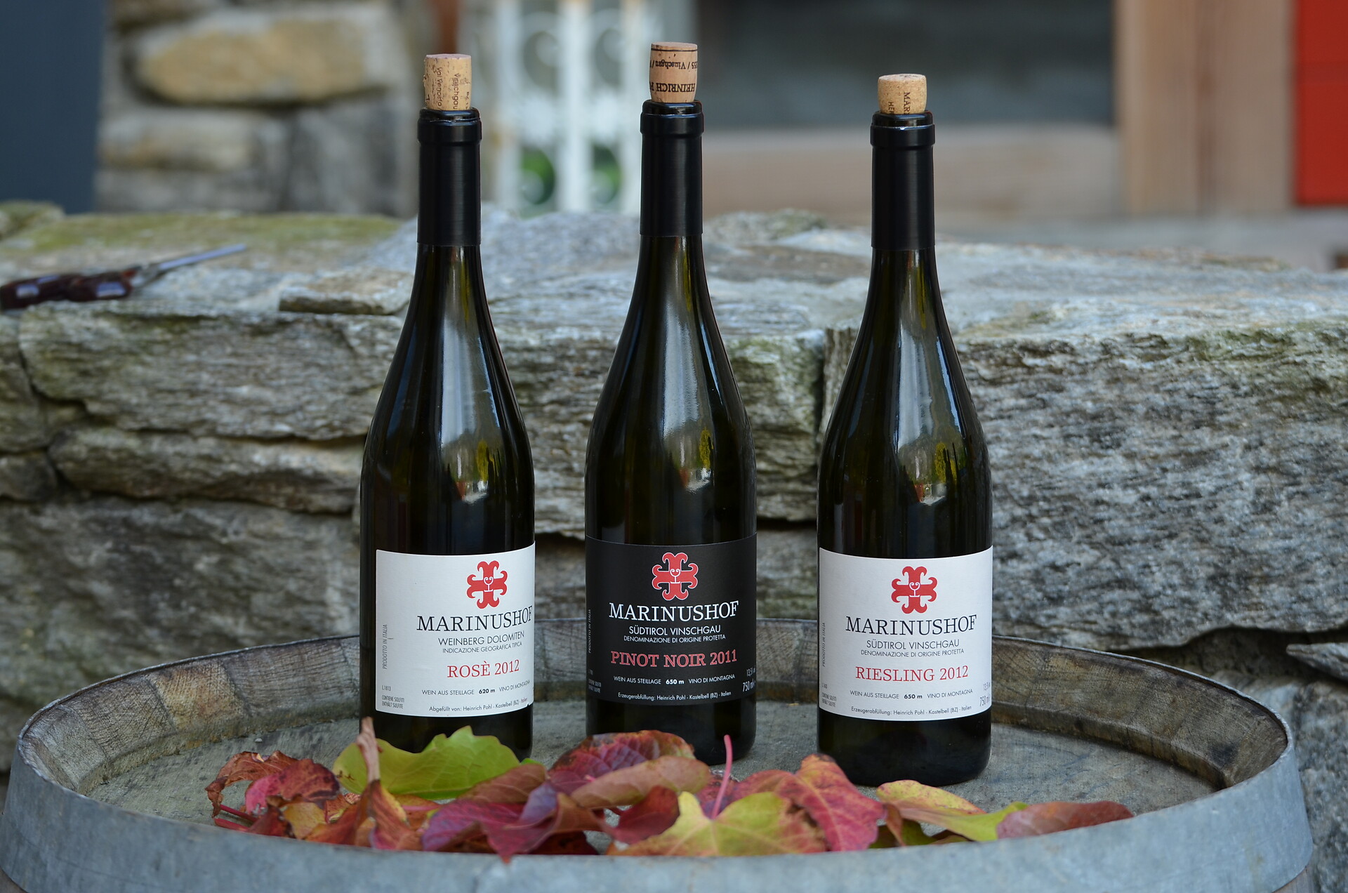 Wines from our heart