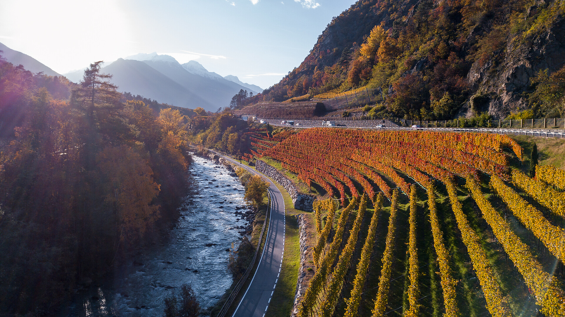 Panoramic view from the Limit vineyard with Mt. Lasa (3500m)
