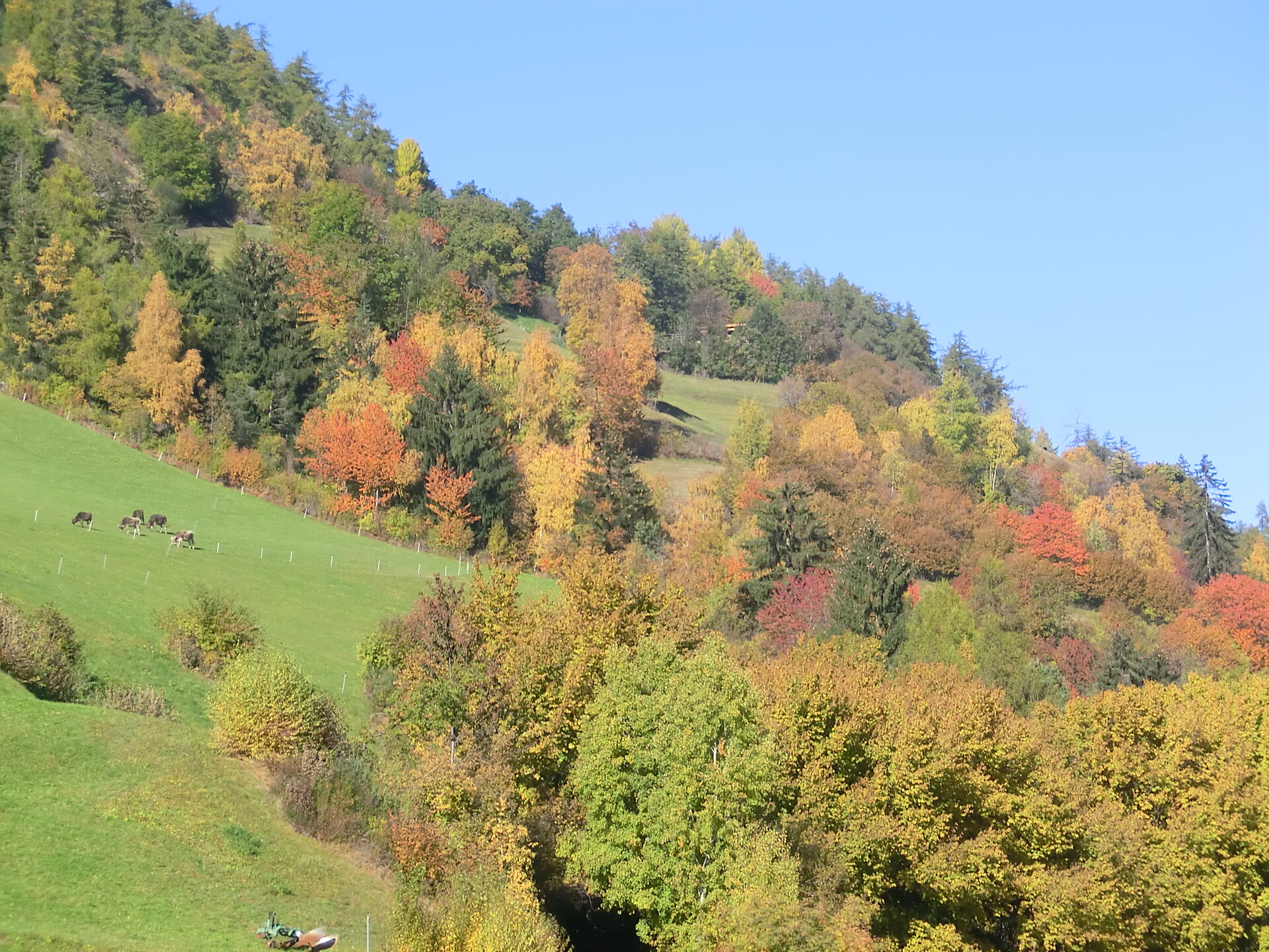 field