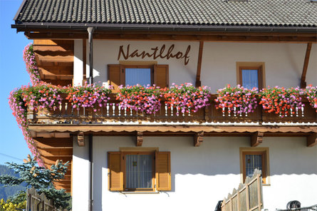 Nantlhof Dobbiaco 2 suedtirol.info