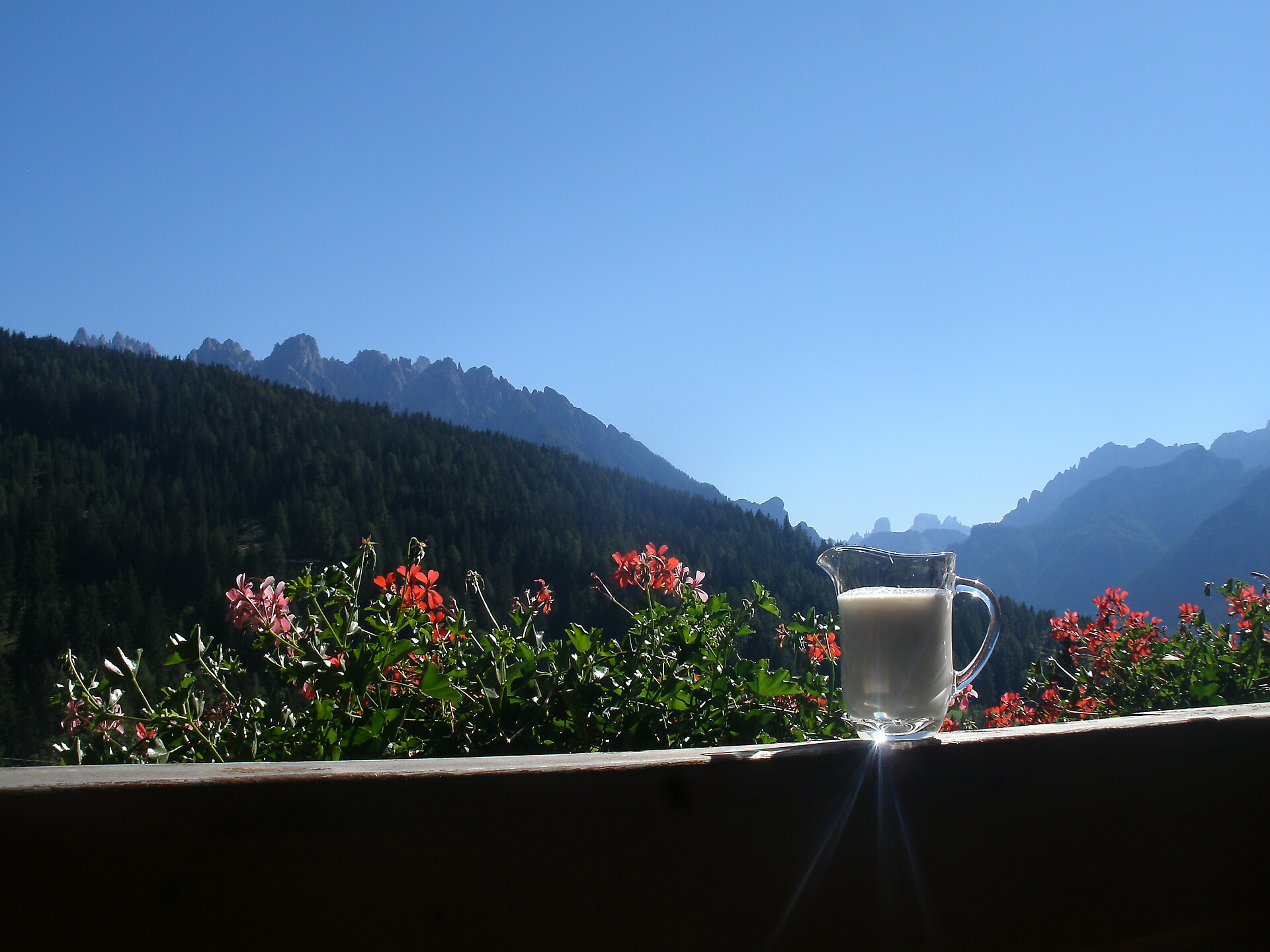 Vista