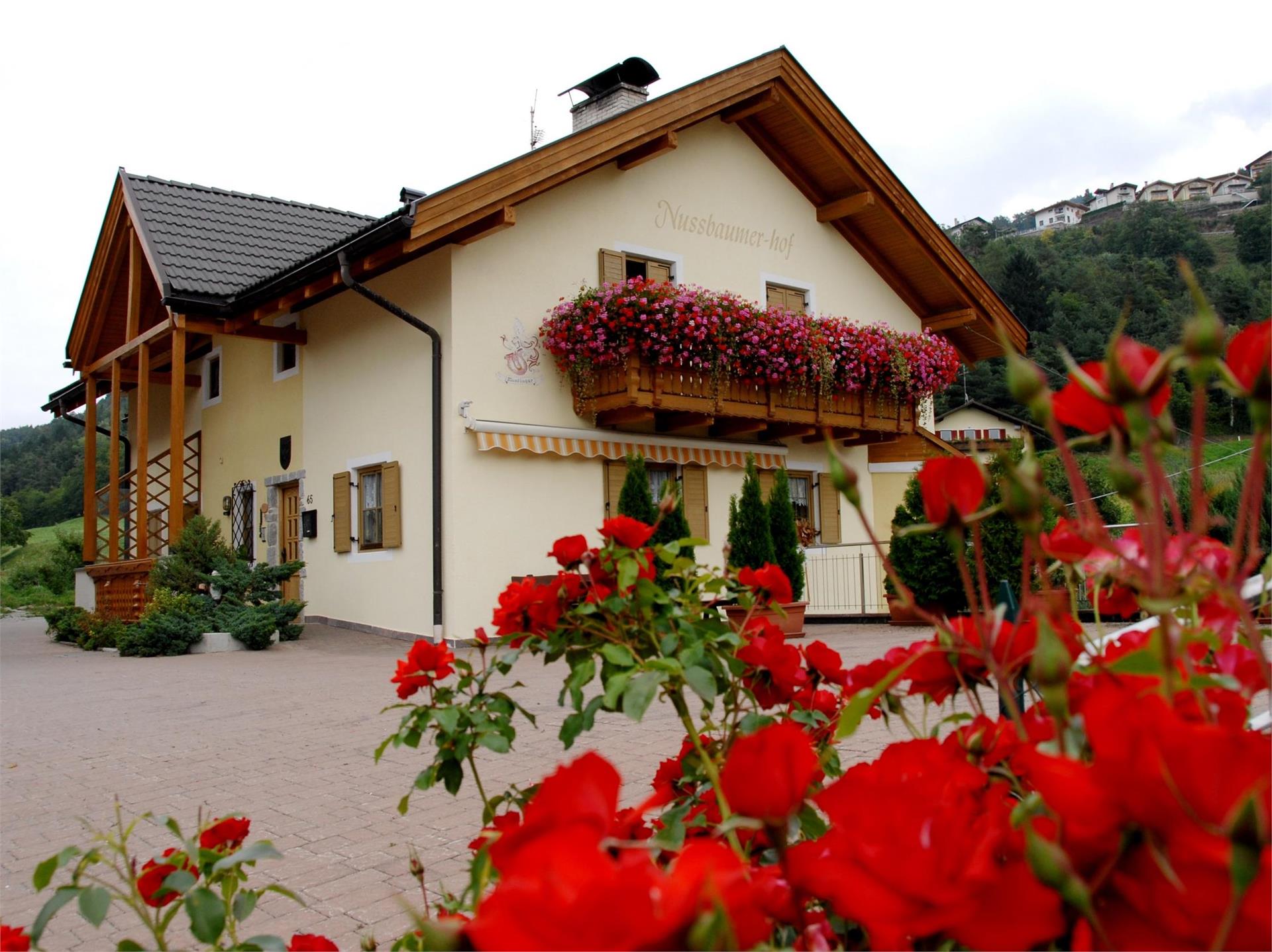 Nußbaumerhof Villnöss/Funes 1 suedtirol.info