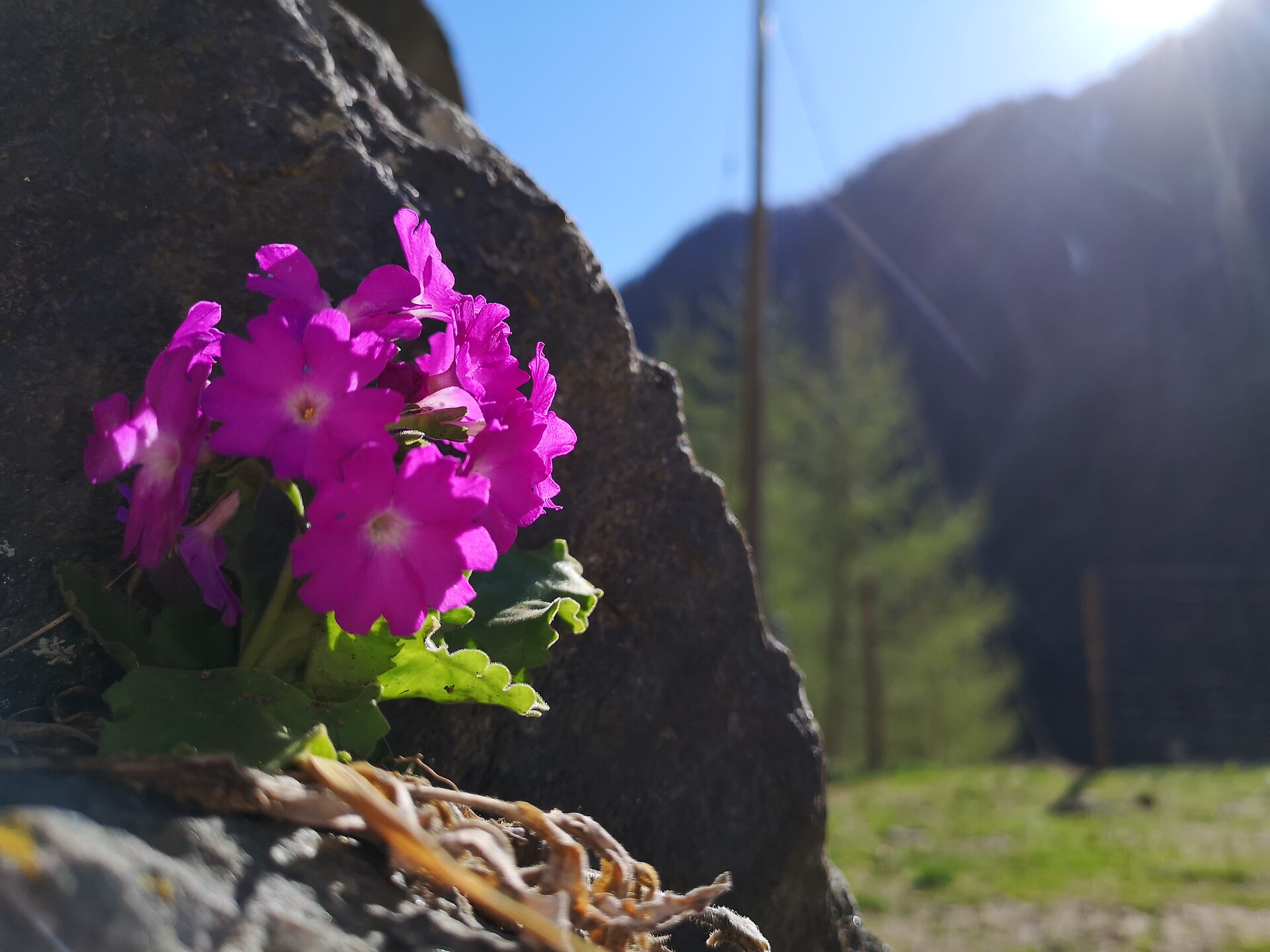 Nassreidhof Schnals 15 suedtirol.info
