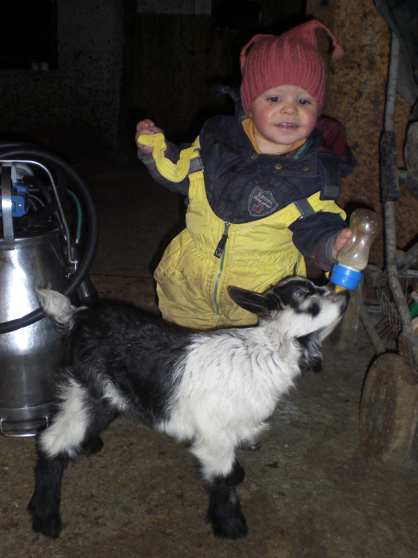 Bambini con capretto