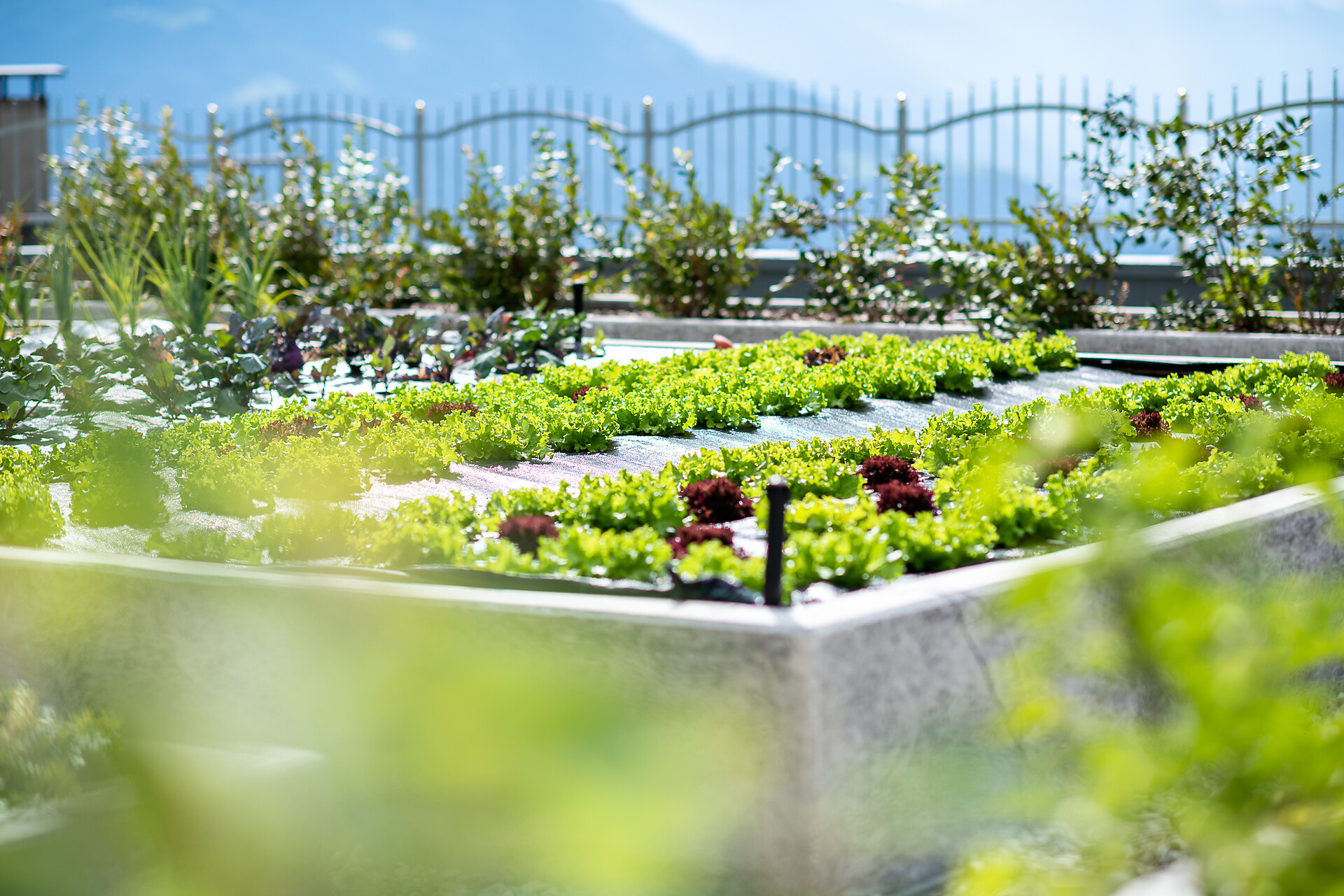 Garten