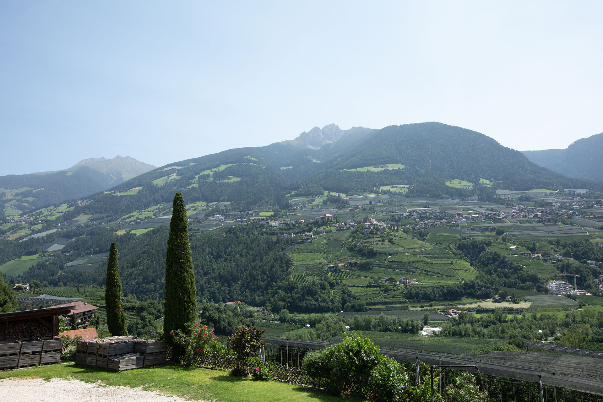 La vista