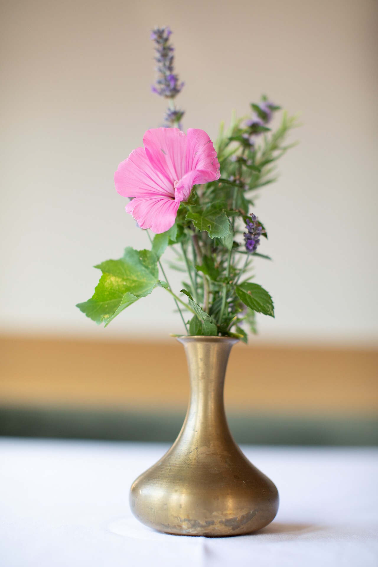 Beautiful flowers