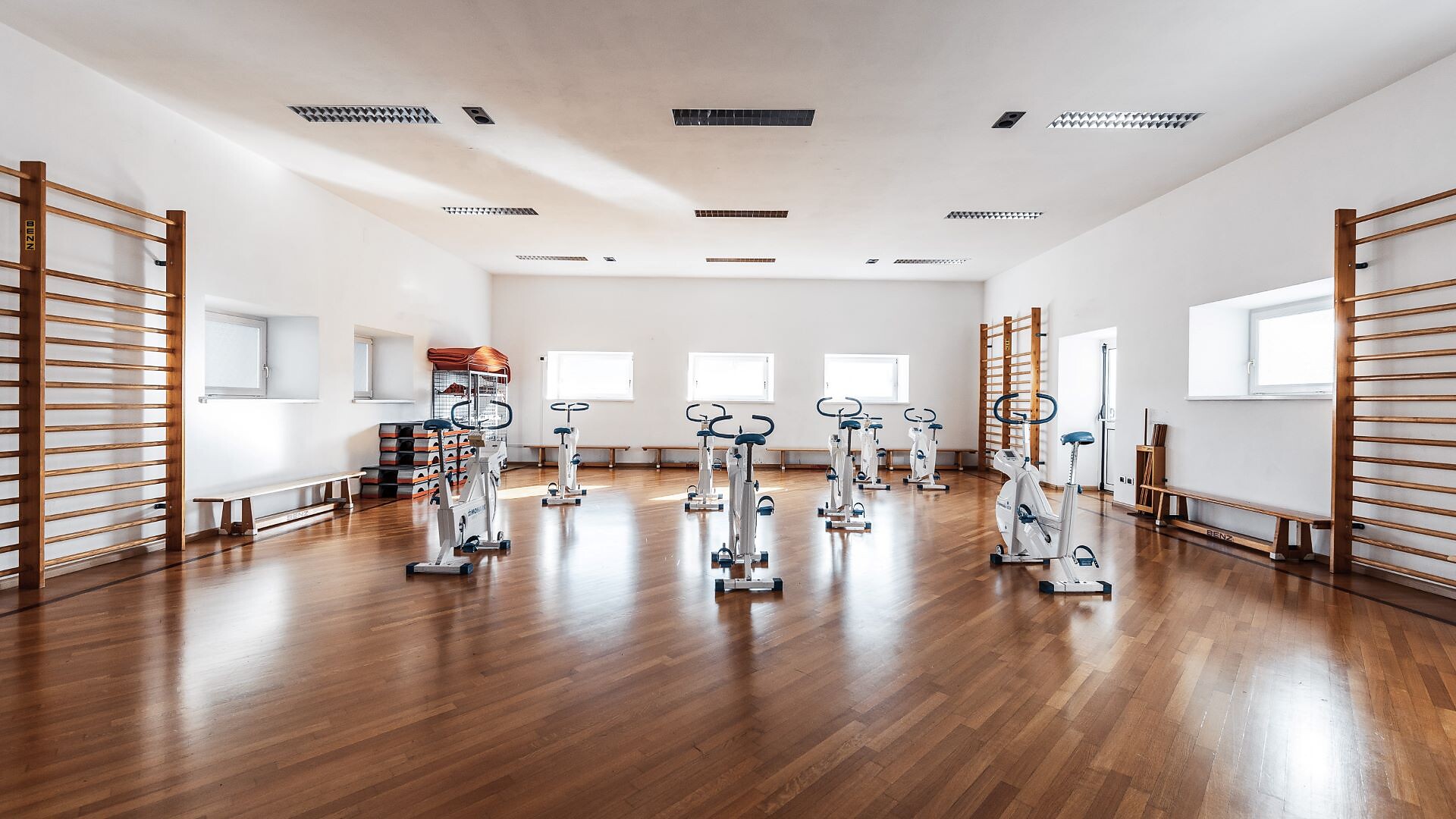 palestra