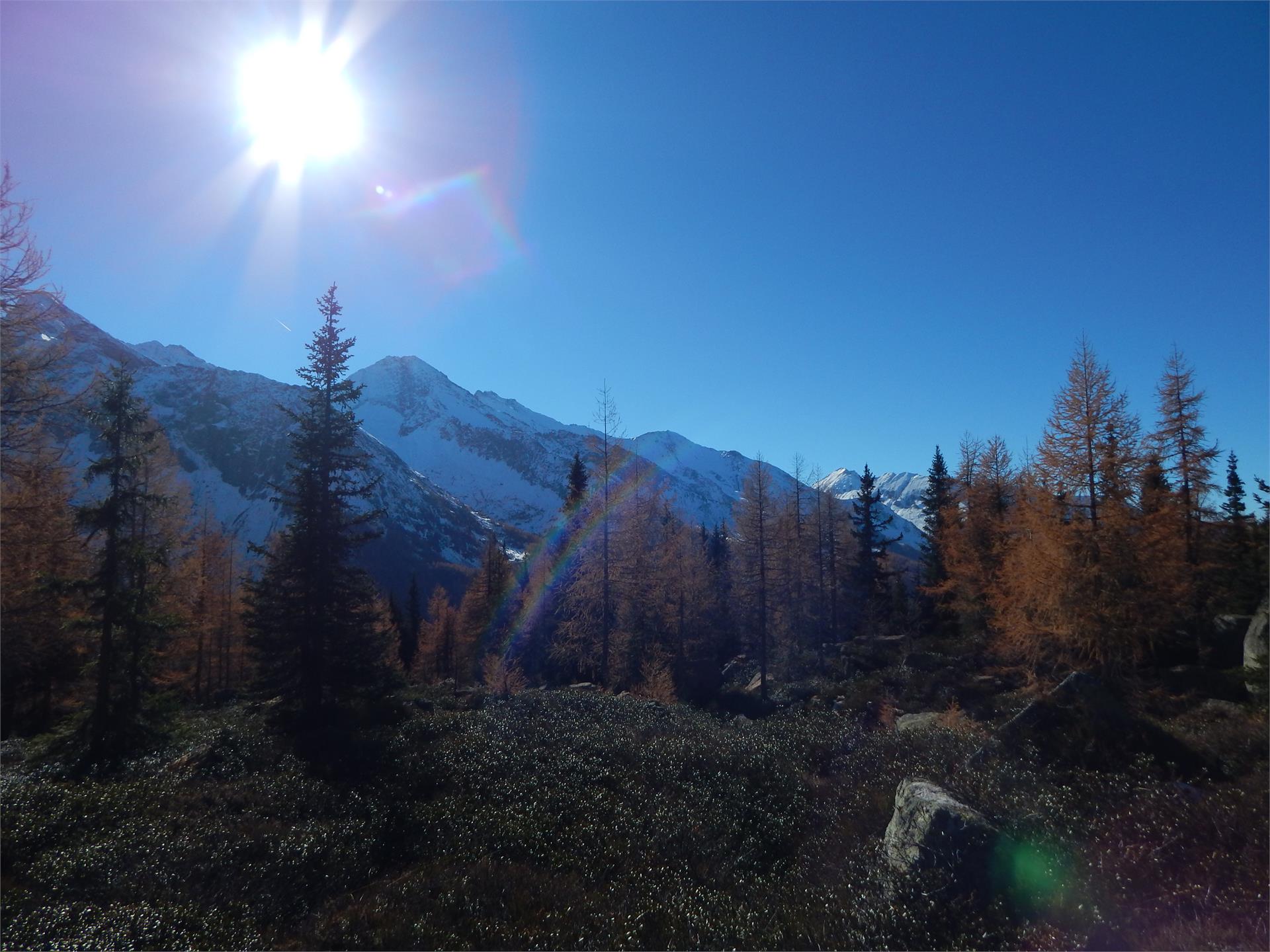 Neuhaus Pension Ahrntal/Valle Aurina 9 suedtirol.info
