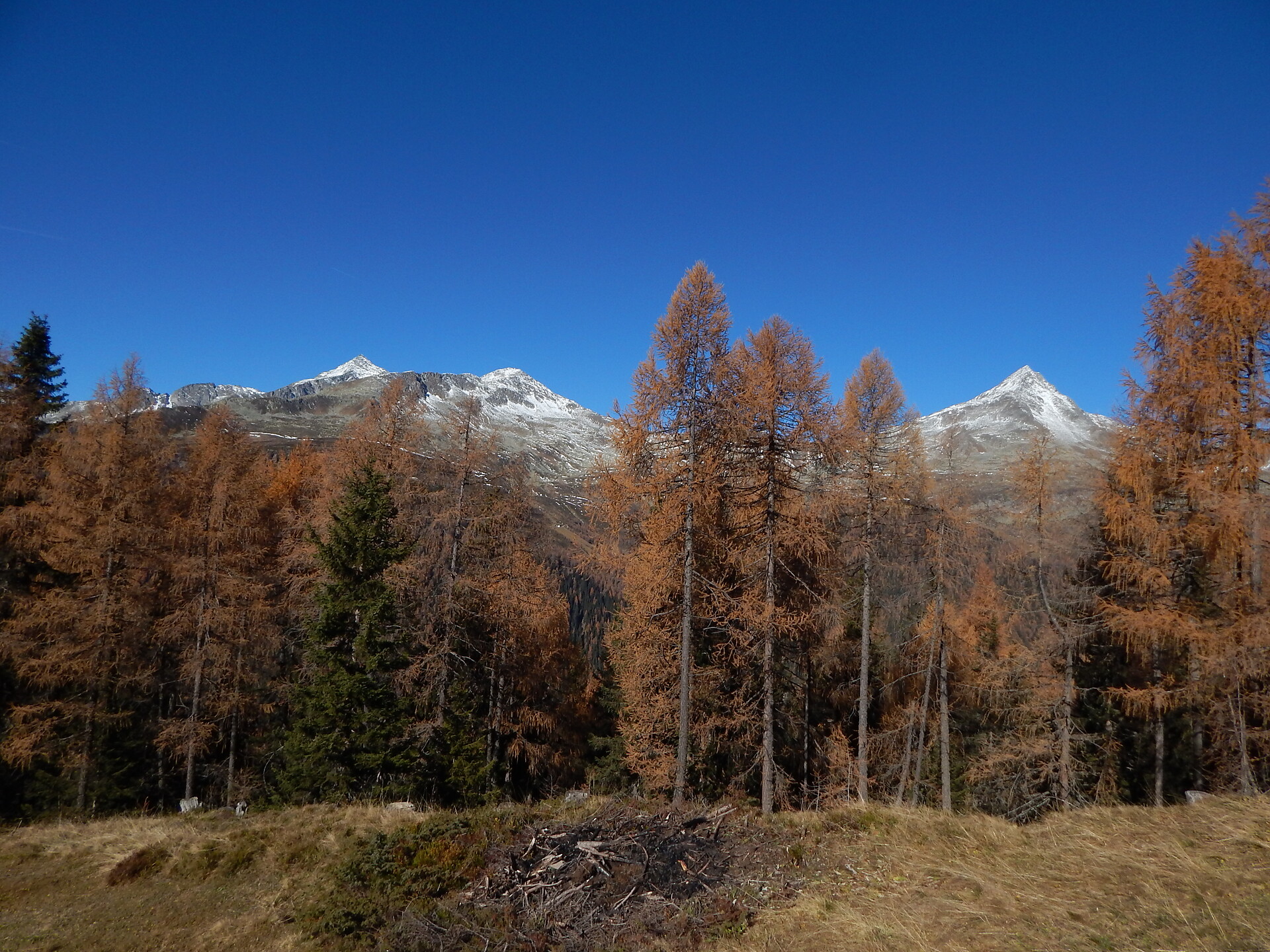 Neuhaus Pension Ahrntal/Valle Aurina 10 suedtirol.info