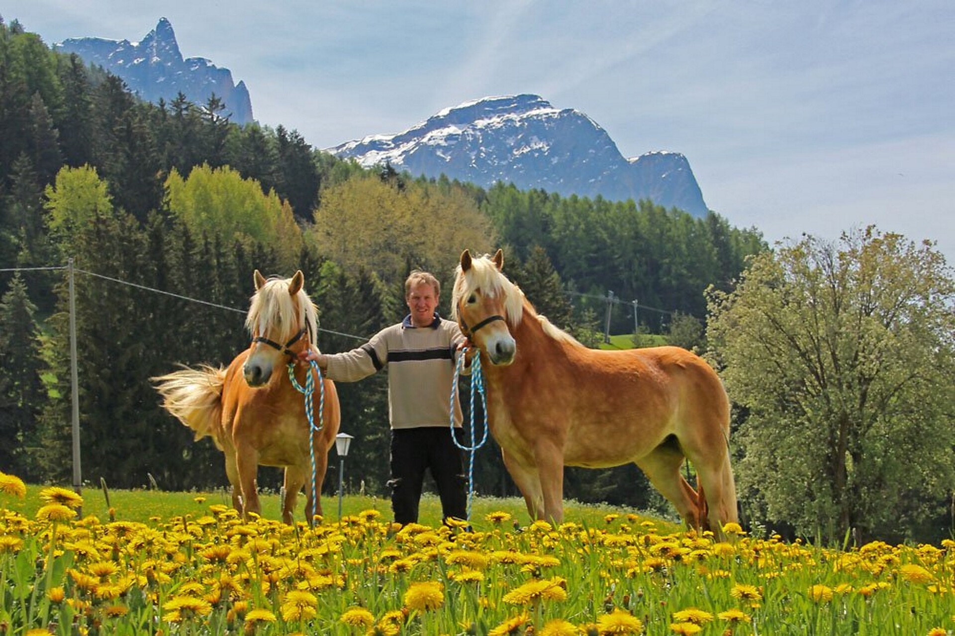 Niglutsch Hof Kastelruth 3 suedtirol.info