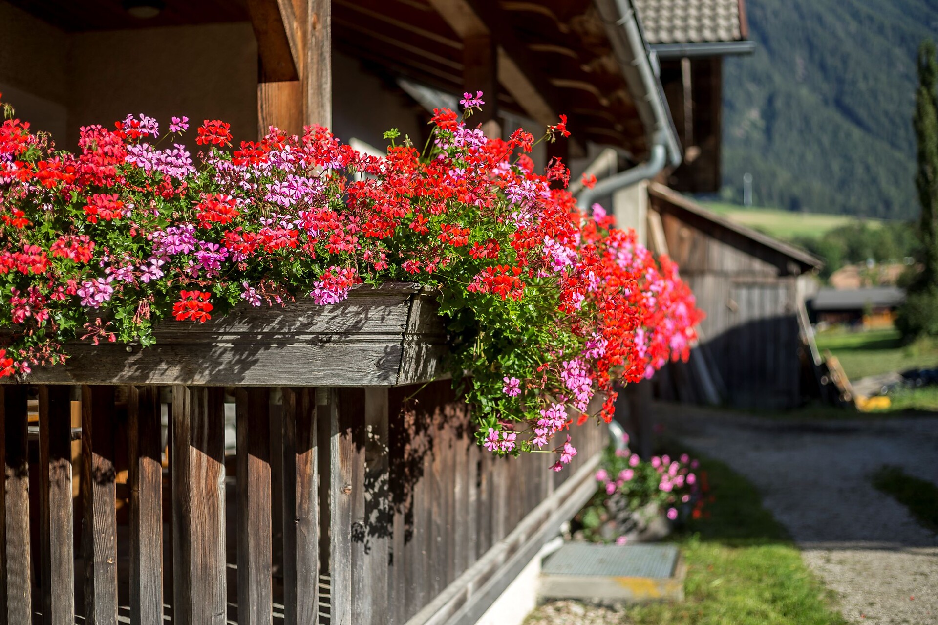 Neuwirthof