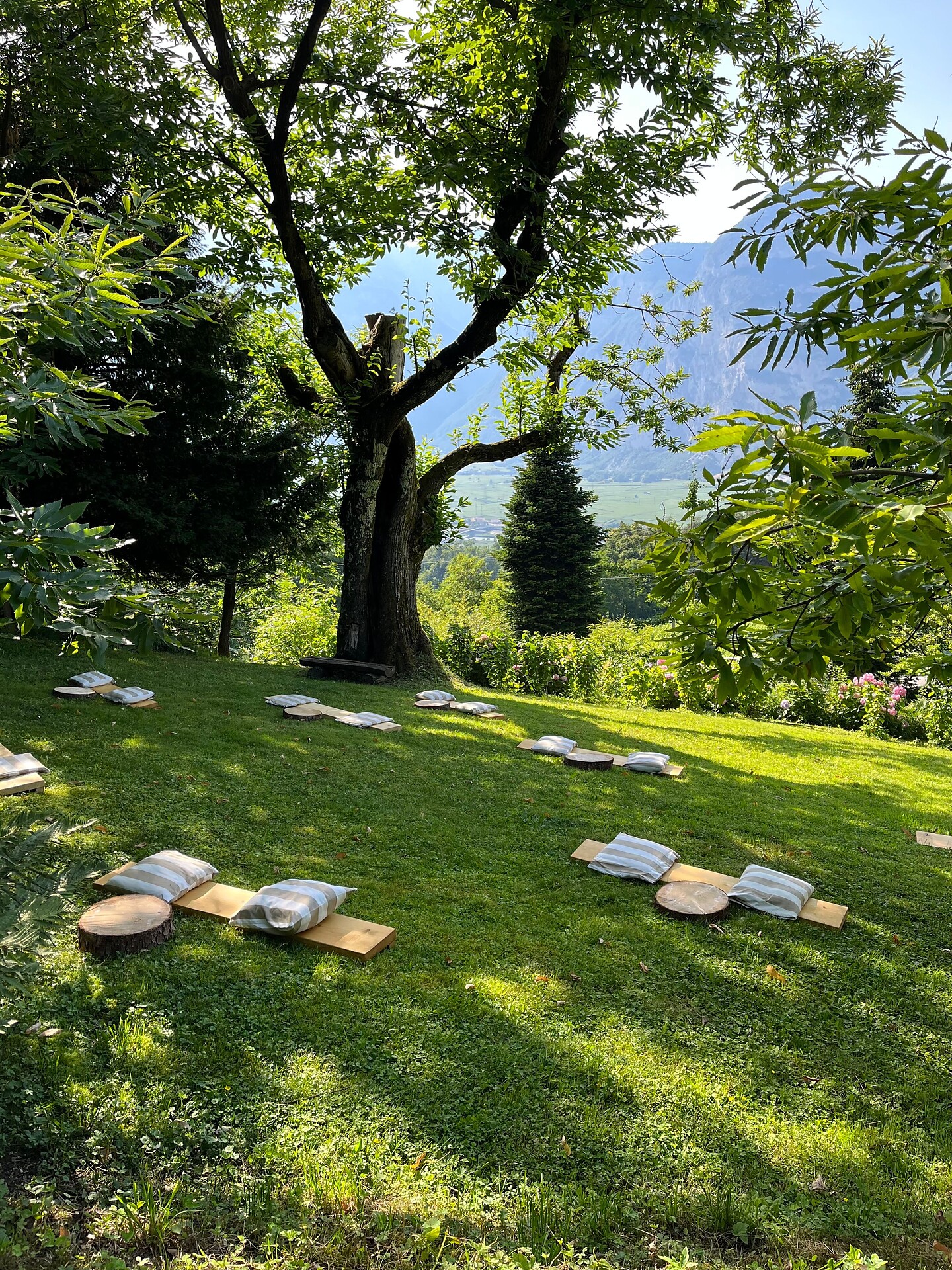 garden