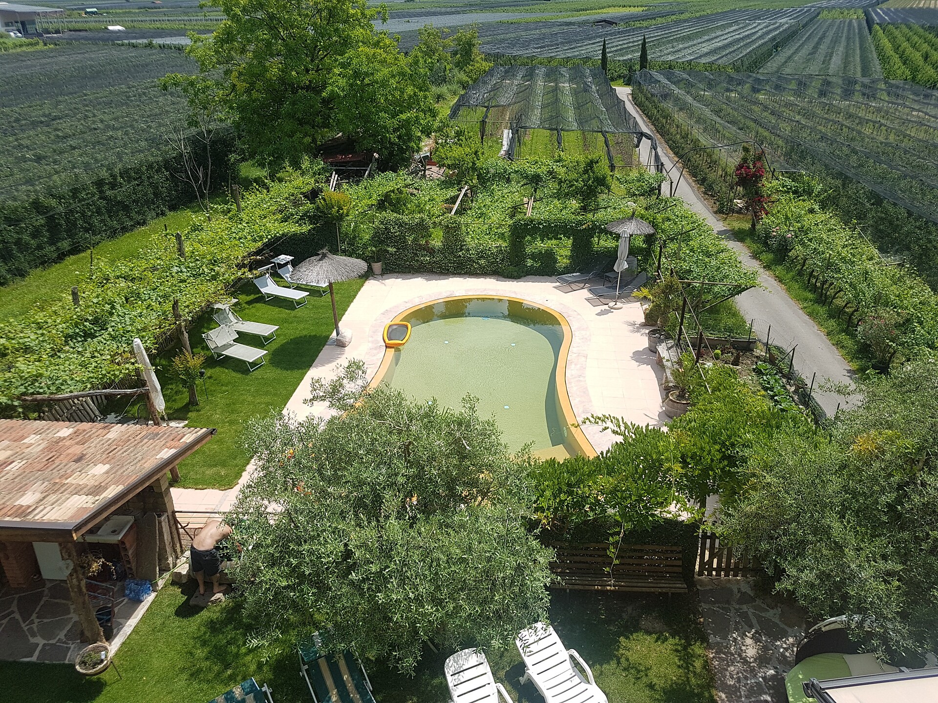 Pool 1
