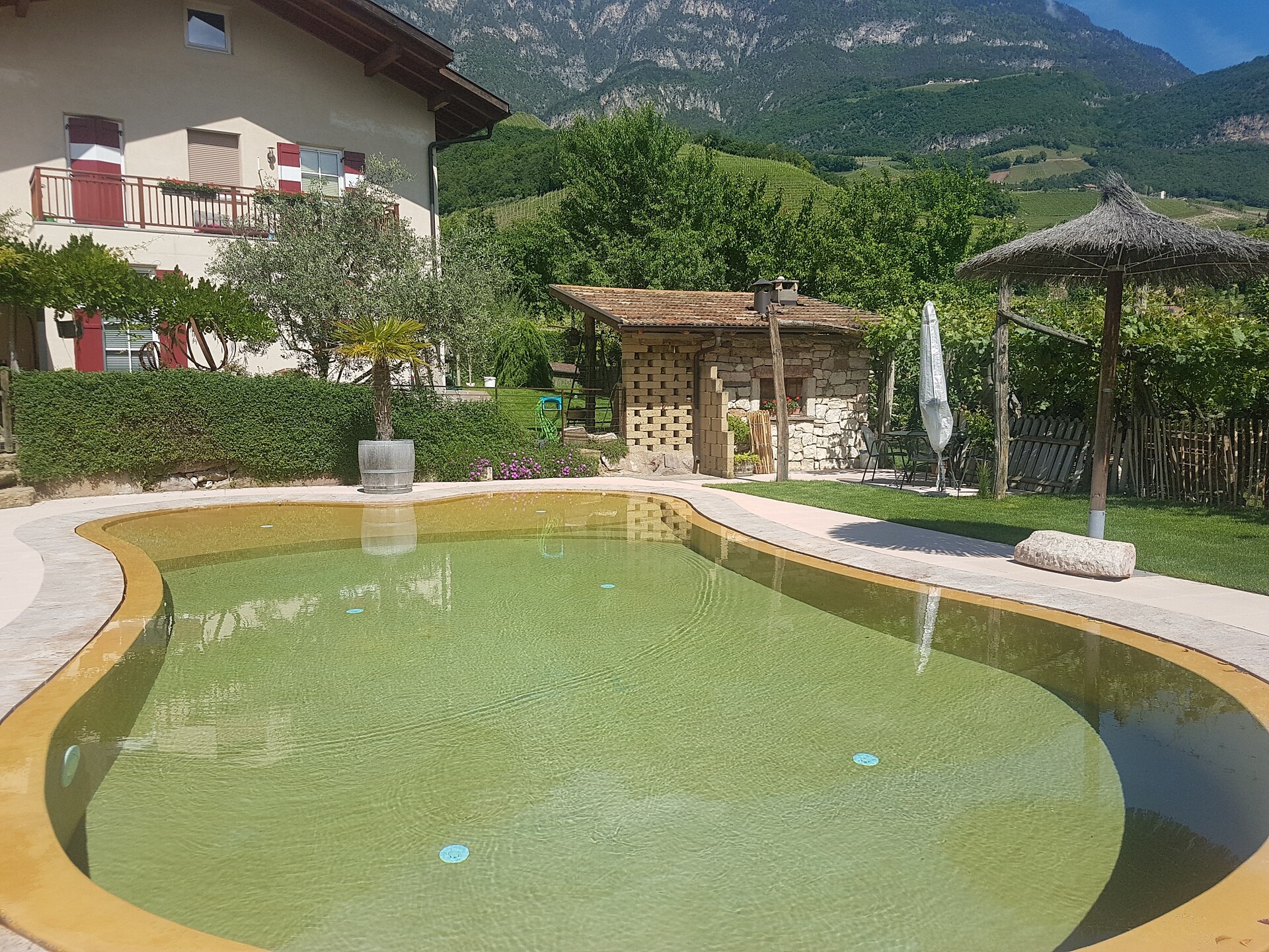 Pool 5