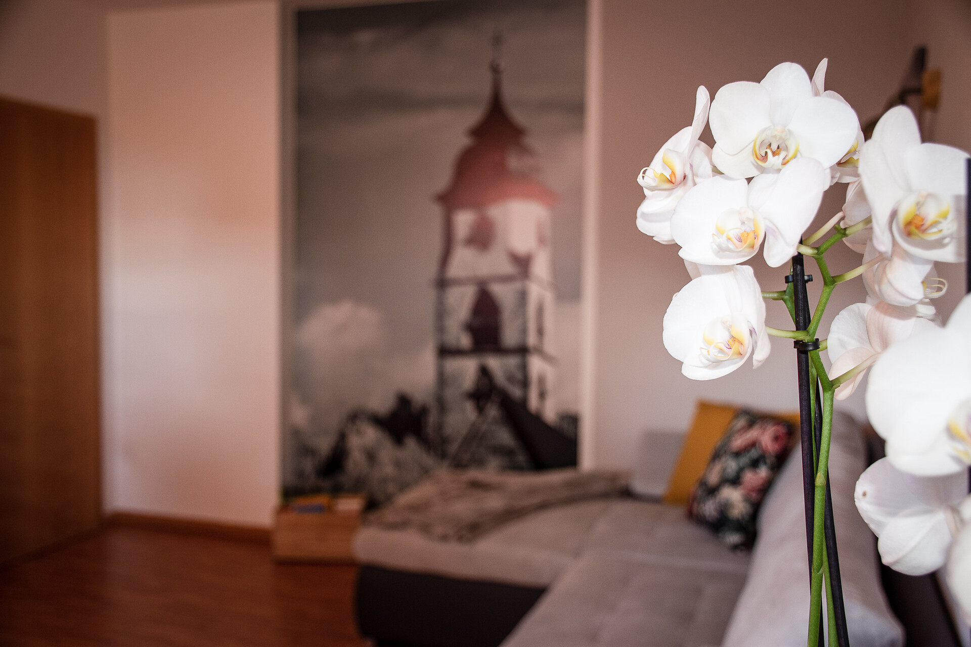 Nock Apartment soggiorno