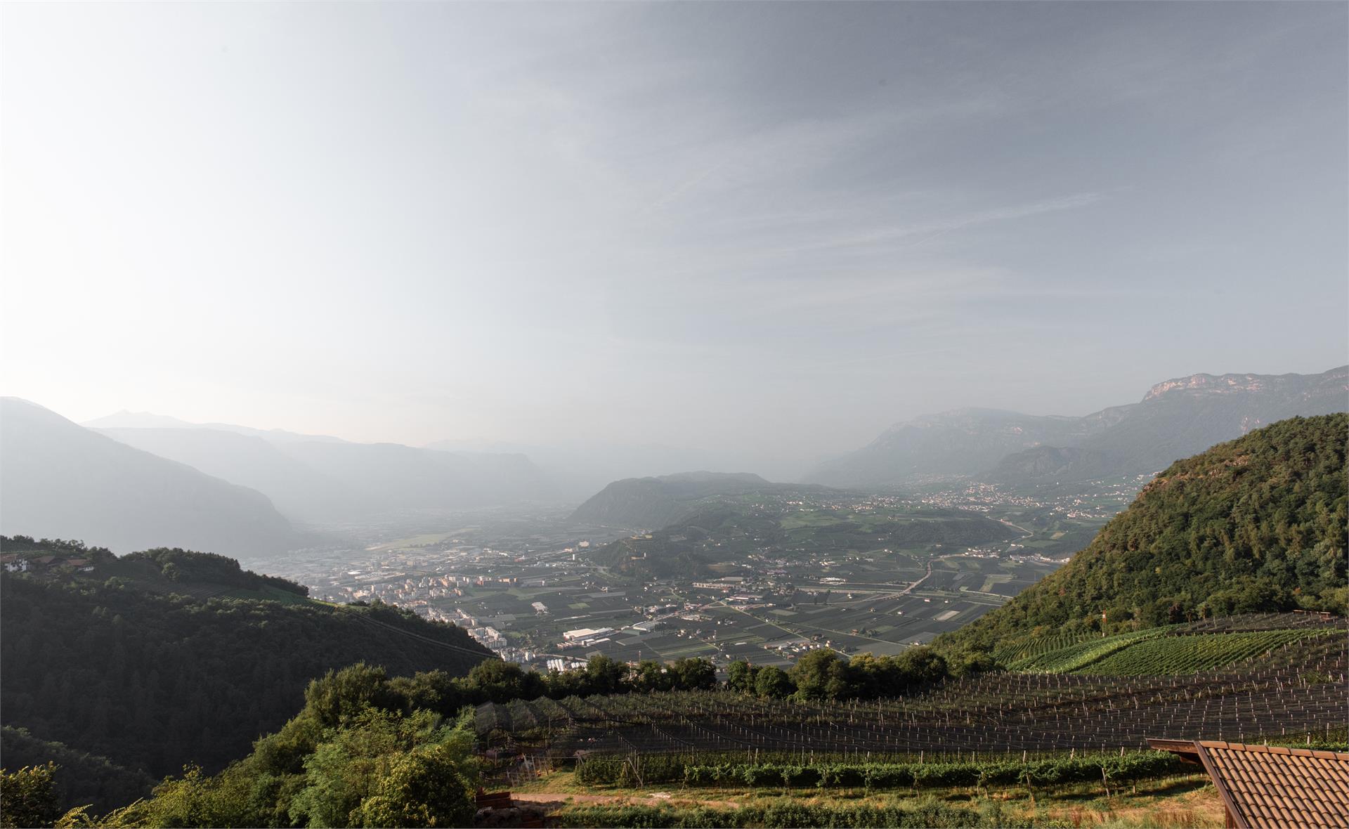 Noelani San Genesio Atesino 13 suedtirol.info
