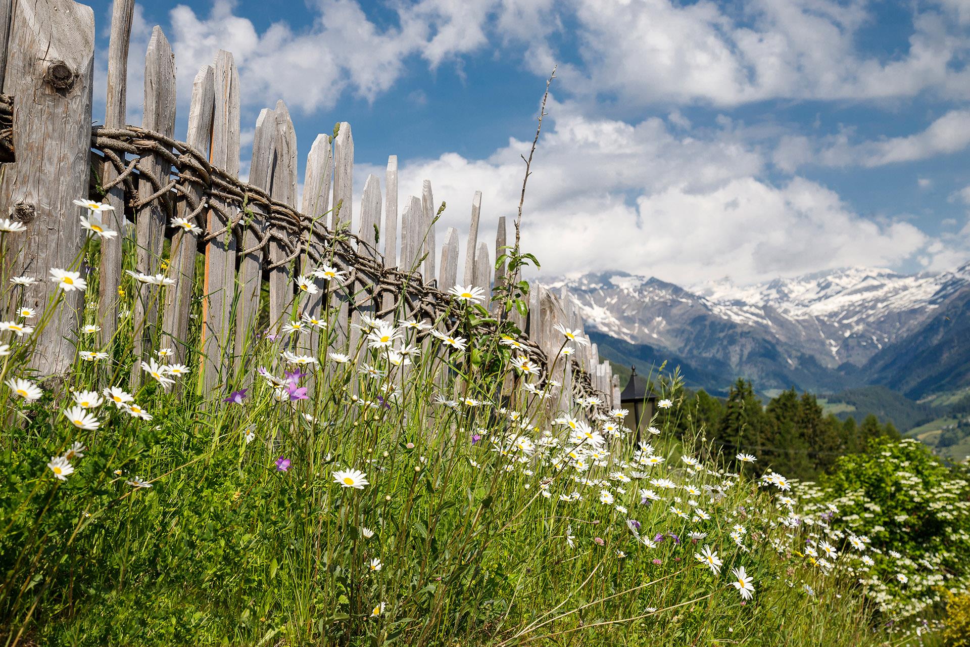 Nestlhof Ratschings 3 suedtirol.info